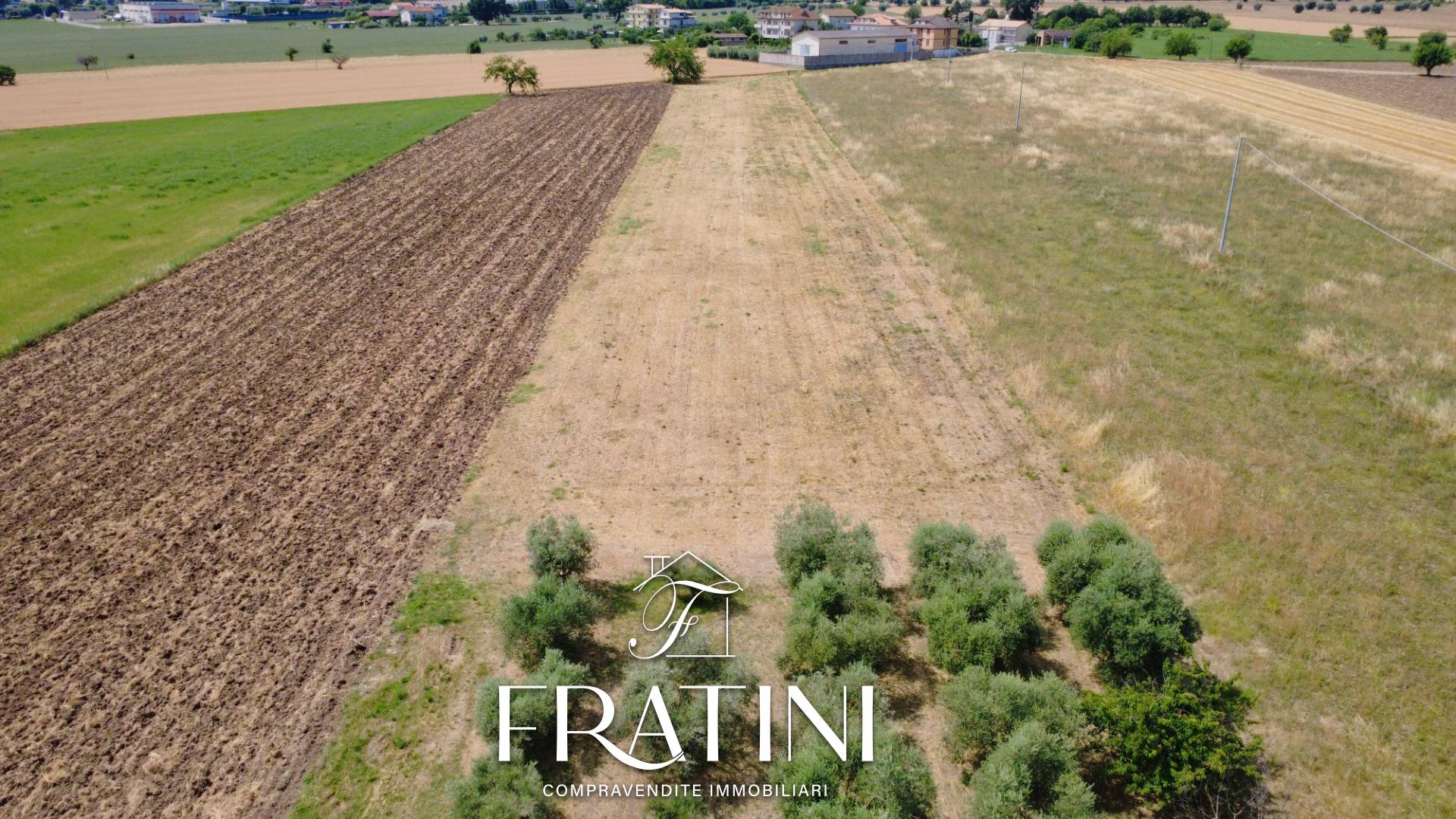 Terreno Agricolo in vendita a Maltignano