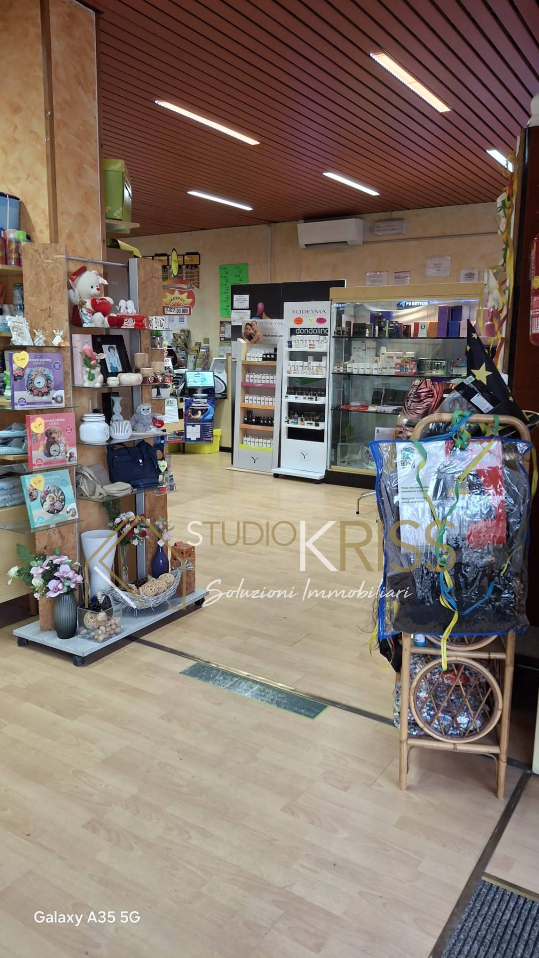 Attivit commerciale in vendita a Ferrara, Pontelagoscuro