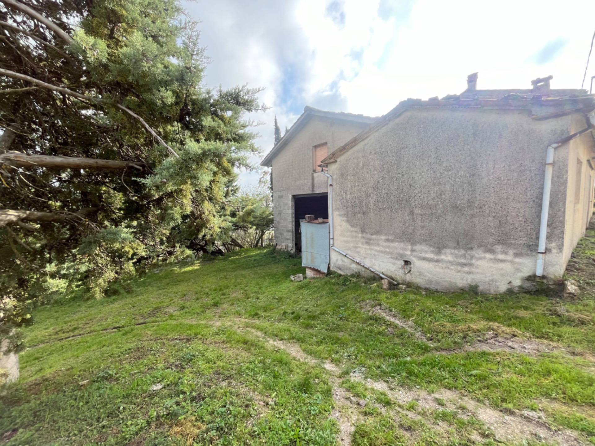 Cielo Terra in vendita a Sassoferrato