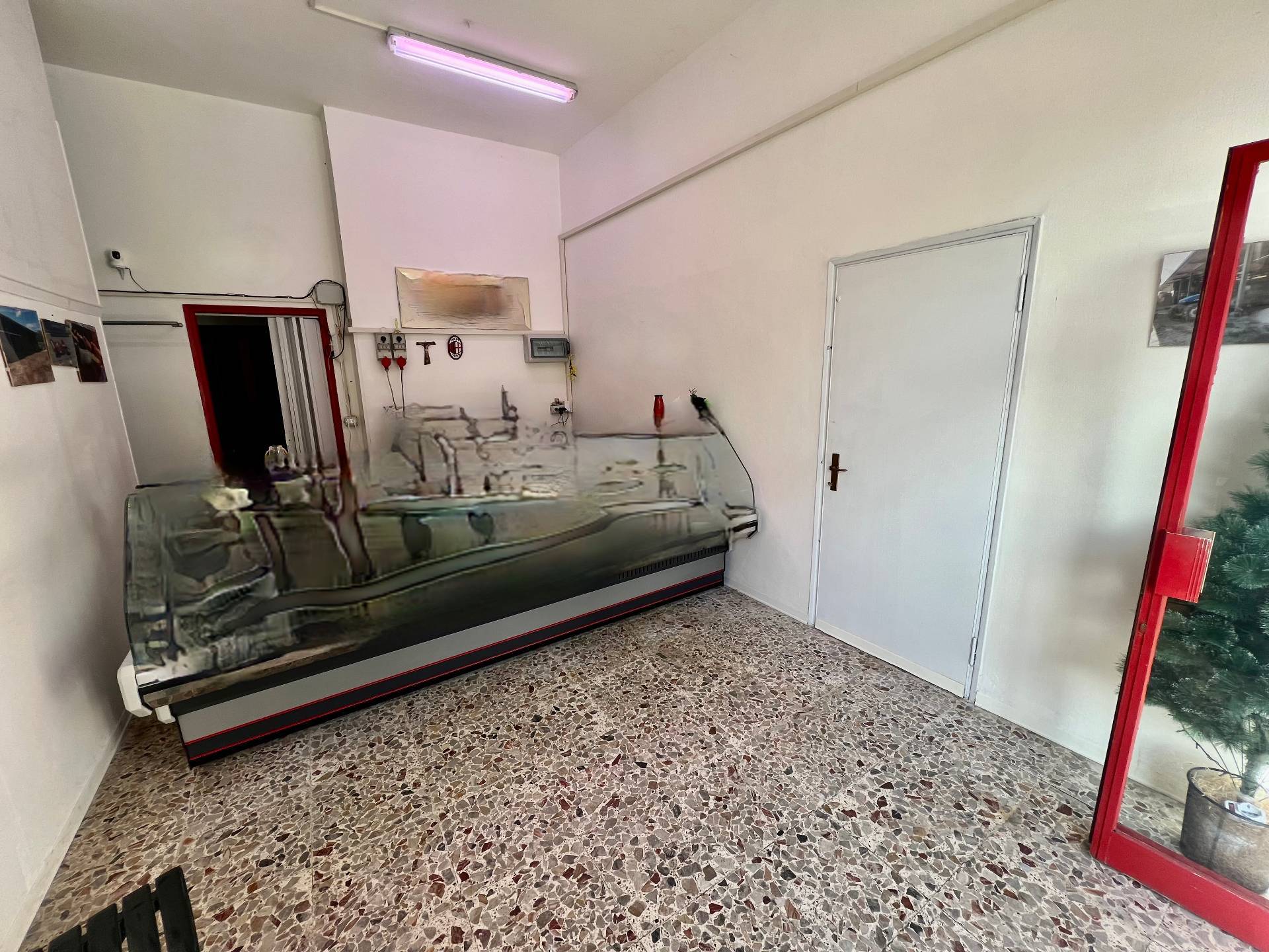 immagine annuncio 3 di 7