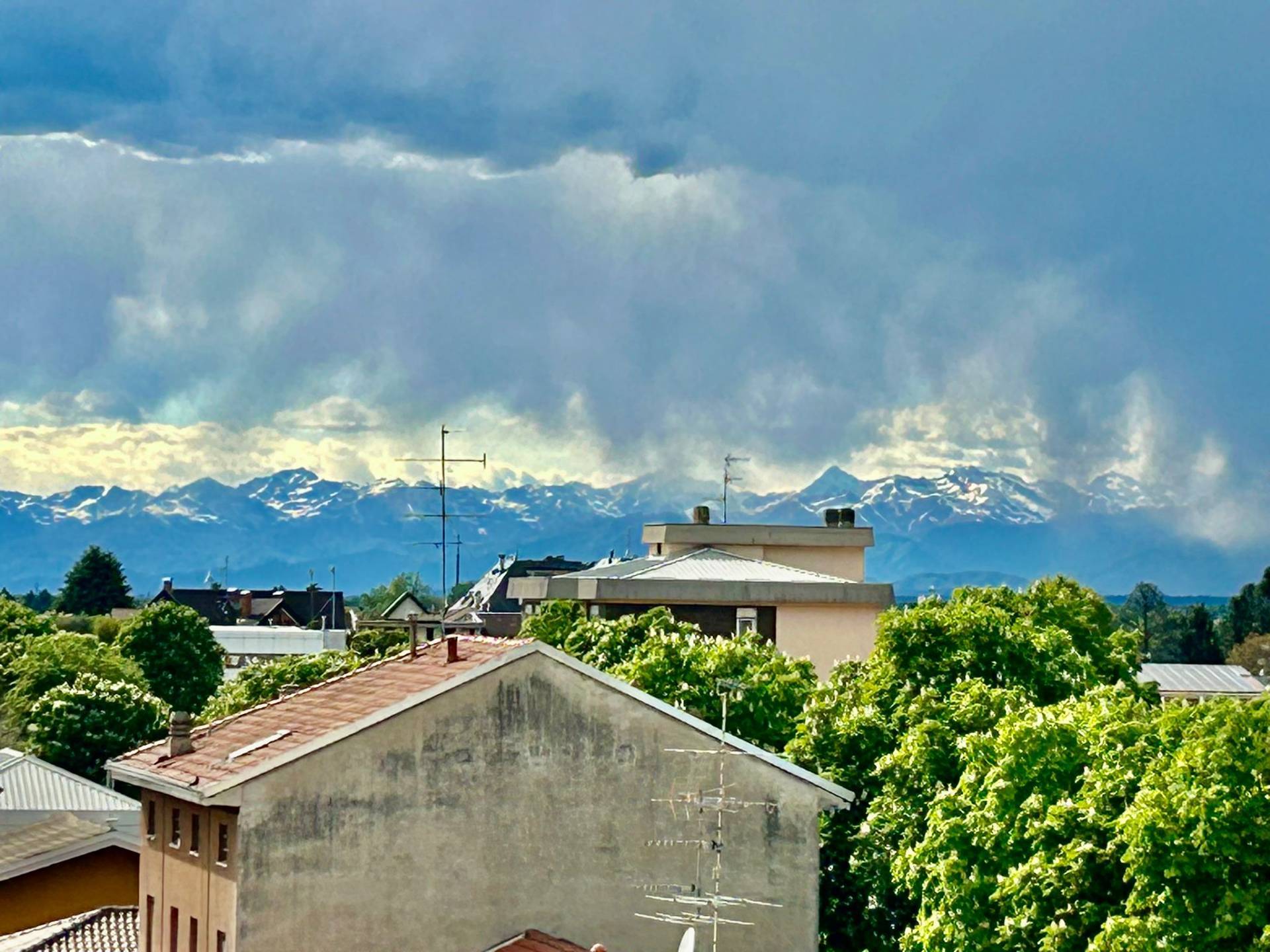 Appartamento in vendita a Busto Arsizio