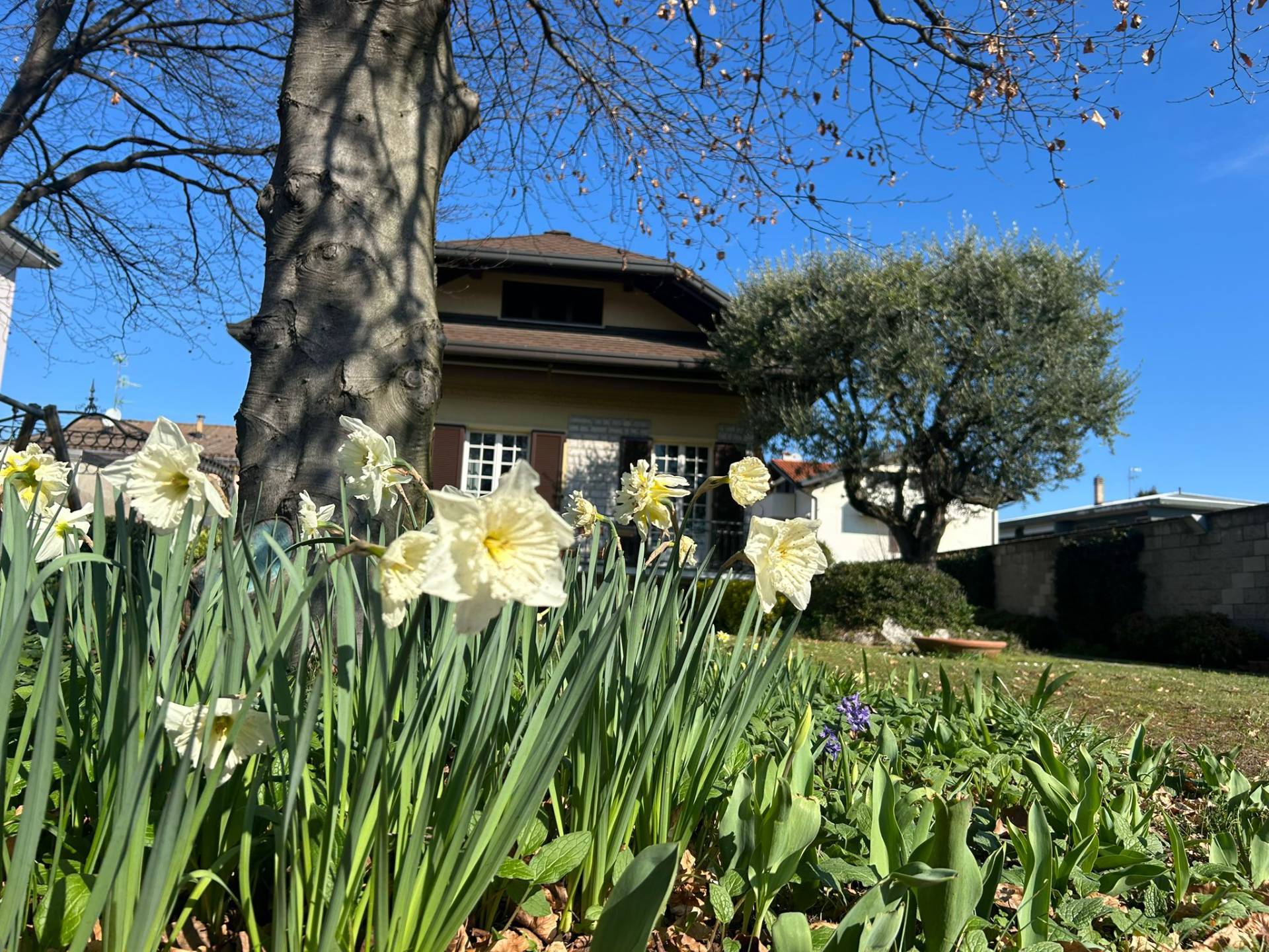 Villa in vendita a Solbiate Olona