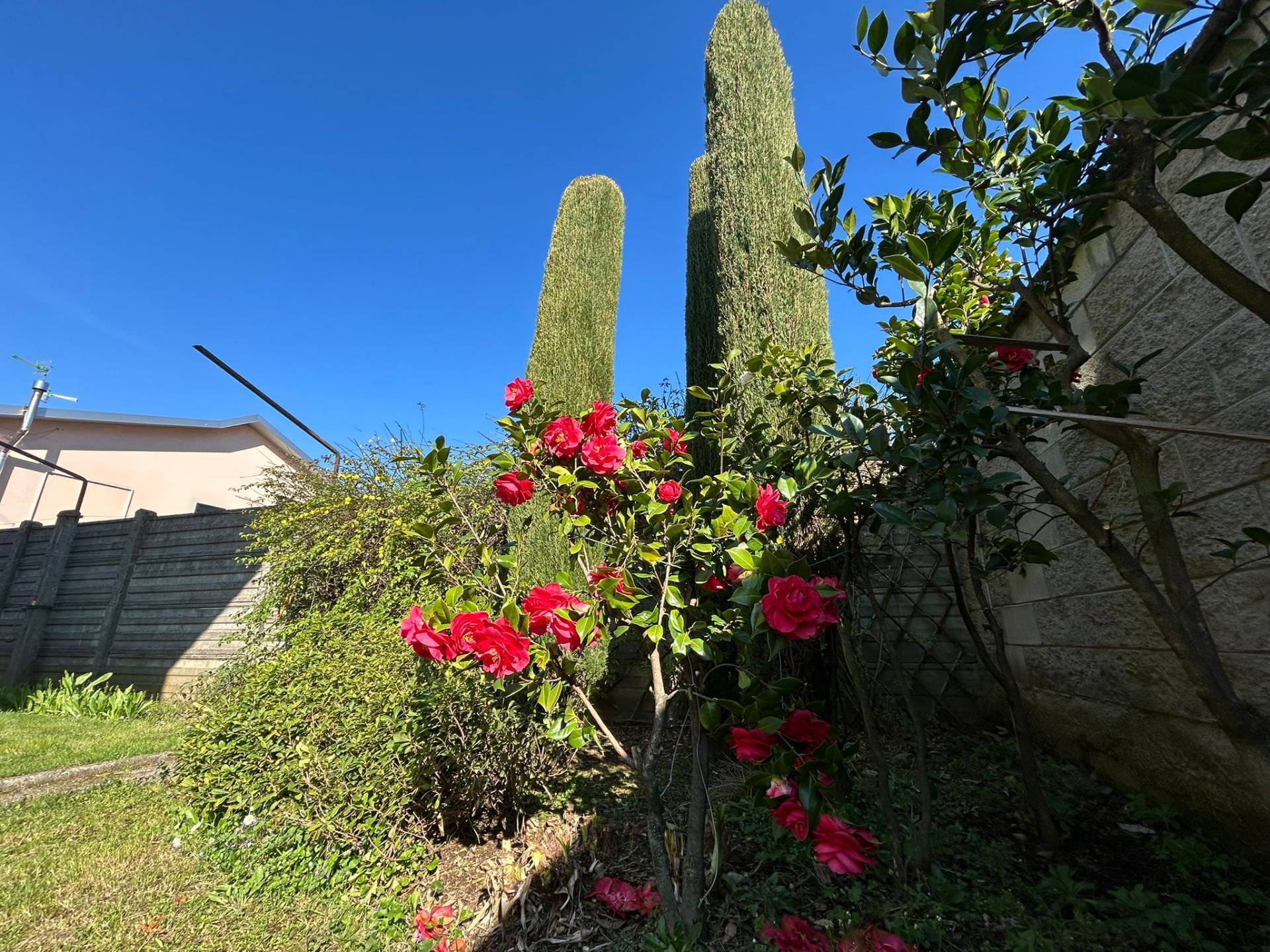 Villa in vendita a Solbiate Olona