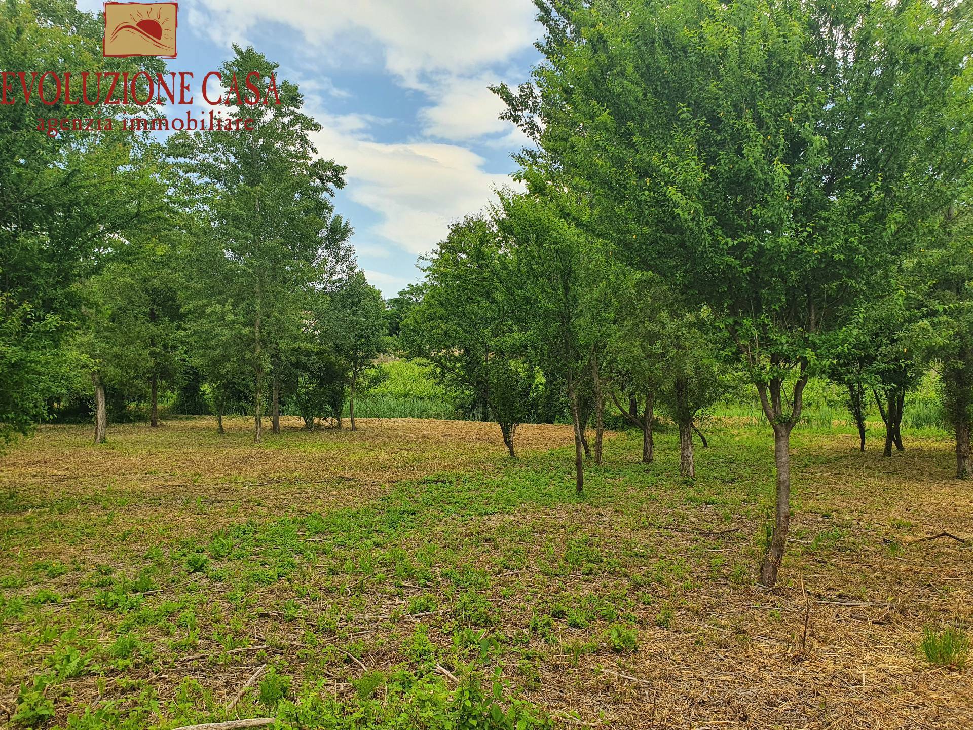 Casa accostata in vendita a Farra d'Isonzo