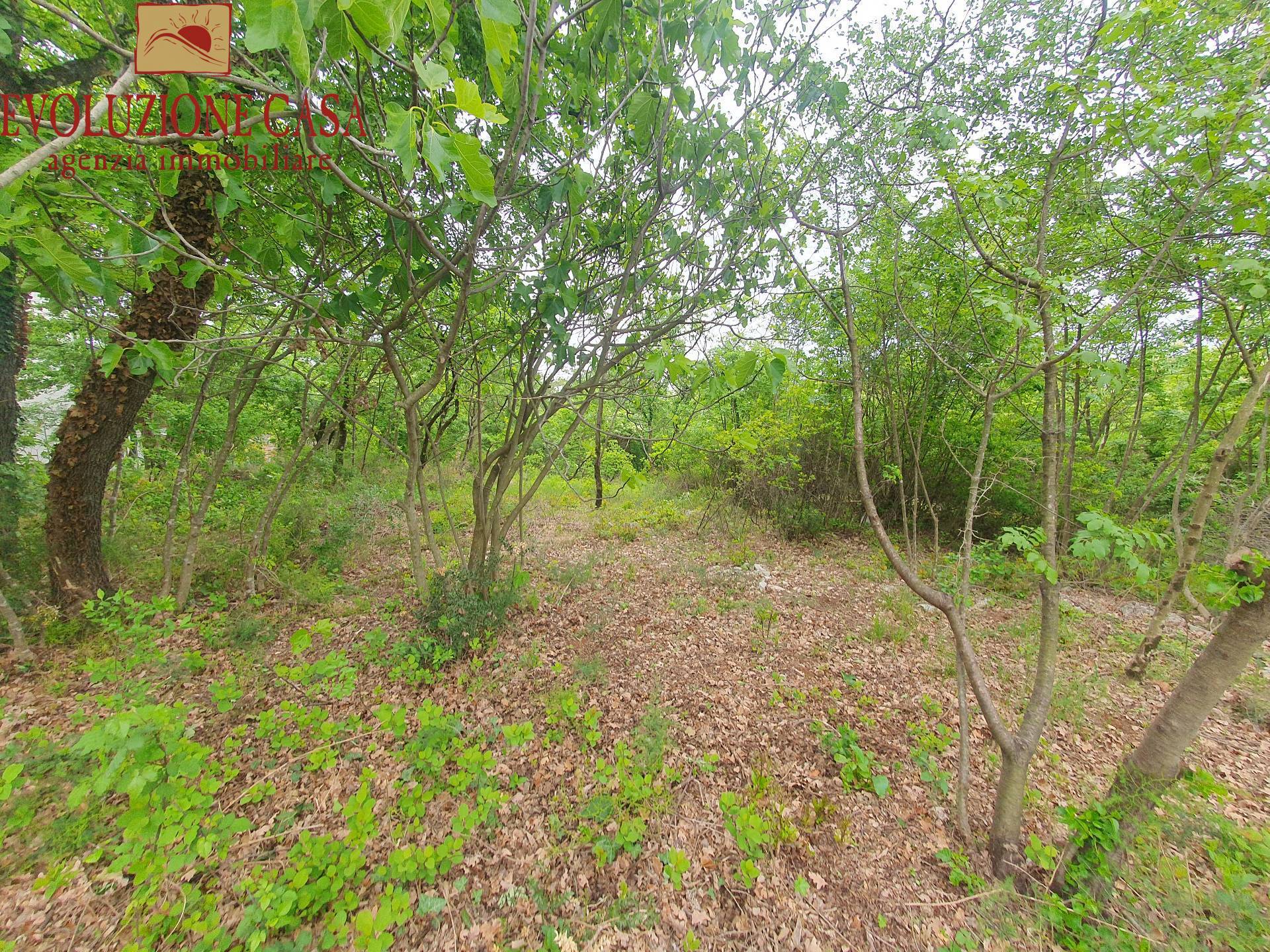 Terreno edificabile in vendita a Sagrado, San Martino del Carso