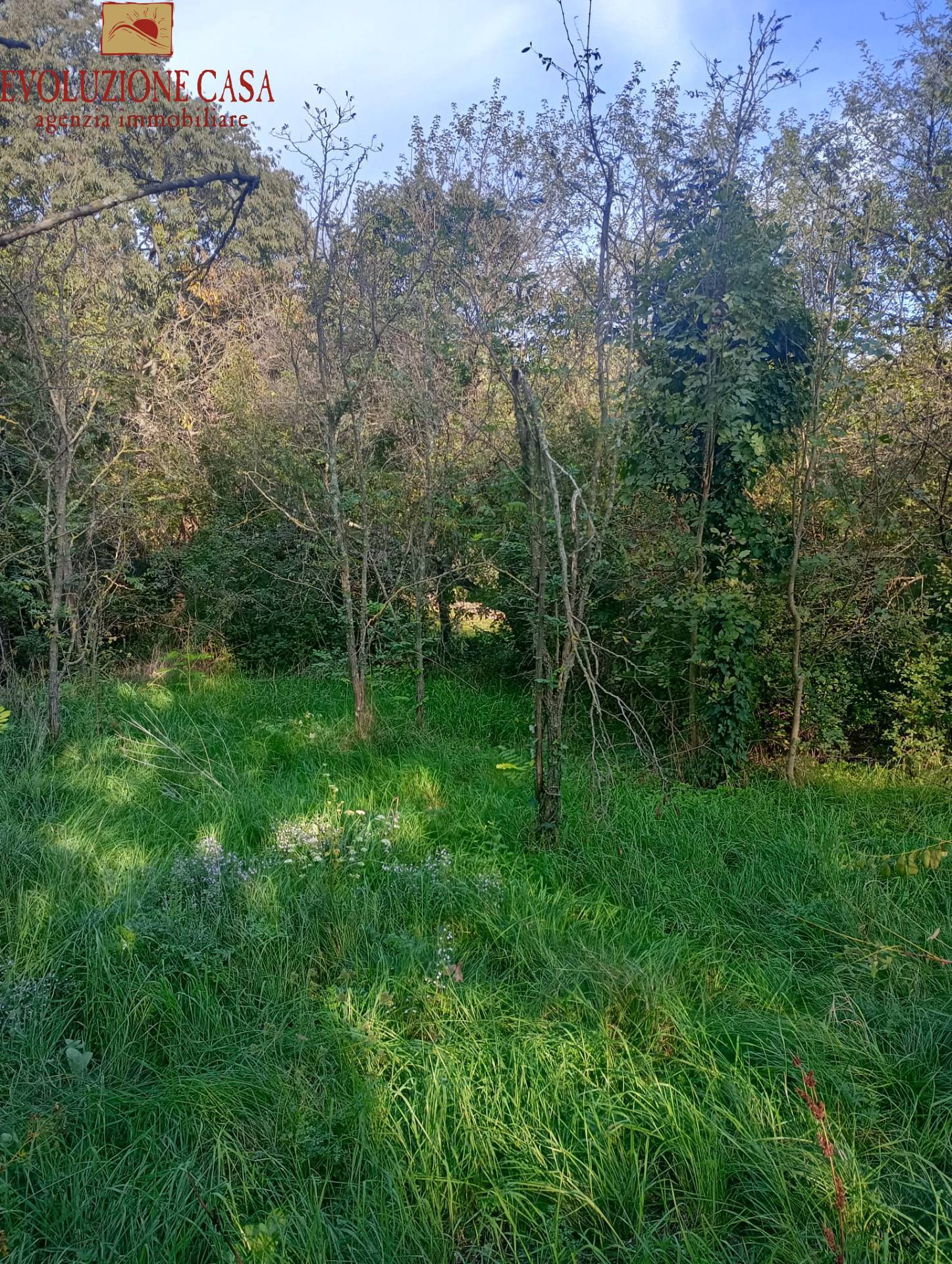 Terreno edificabile in vendita a Duino-Aurisina, Sistiana