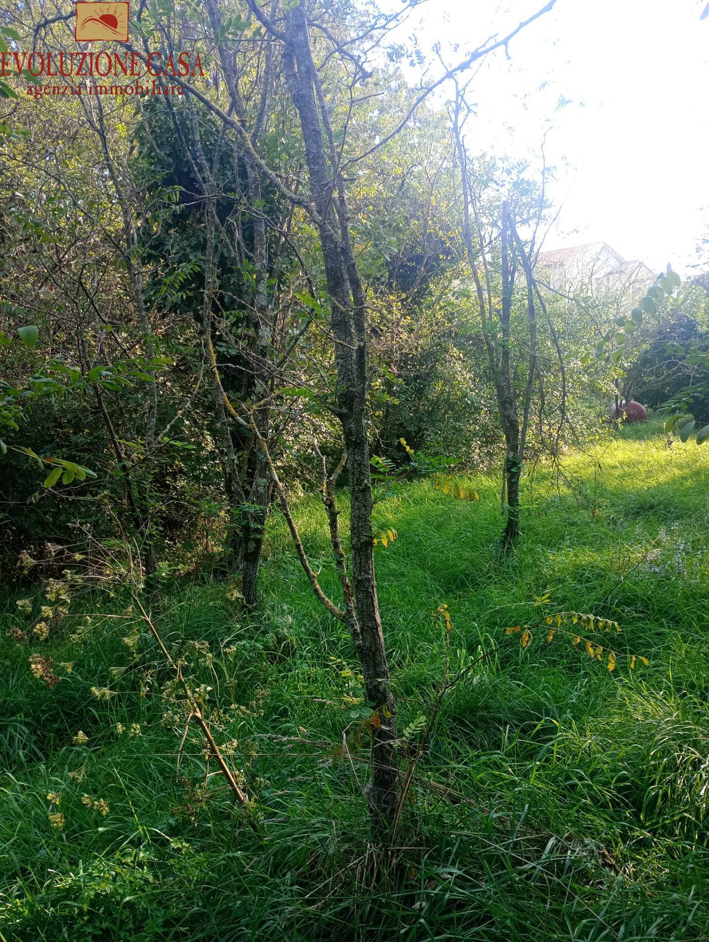 Terreno edificabile in vendita a Duino-Aurisina, Sistiana