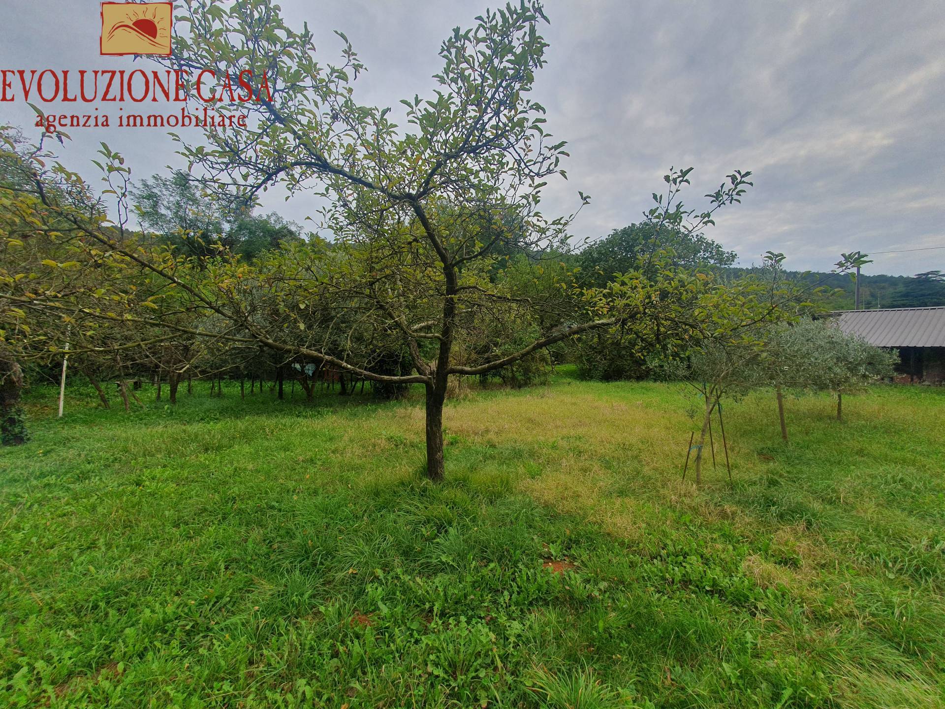 Casa accostata in vendita a Sagrado, Poggio Terza Armata