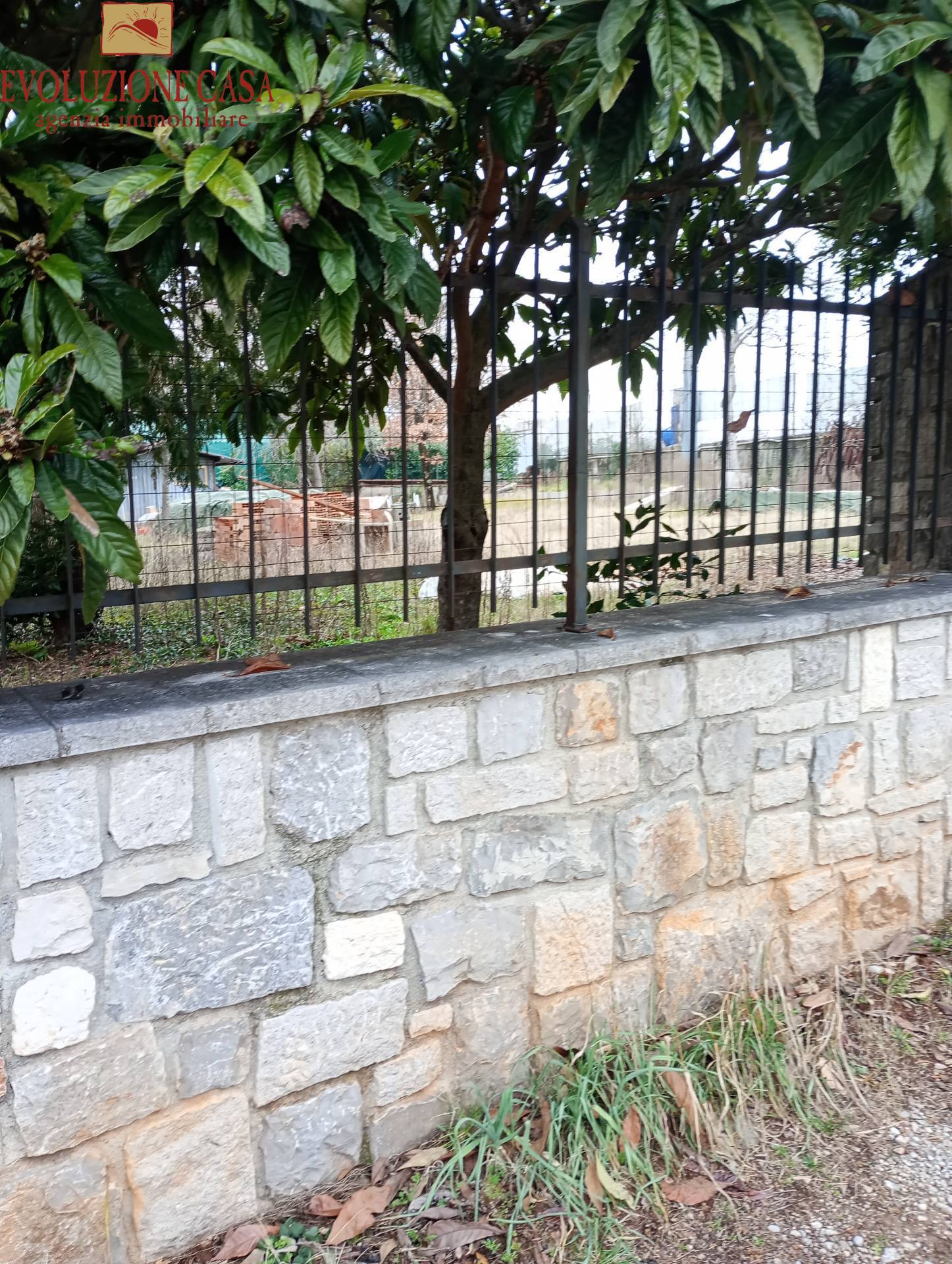 immagine annuncio 1 di 7