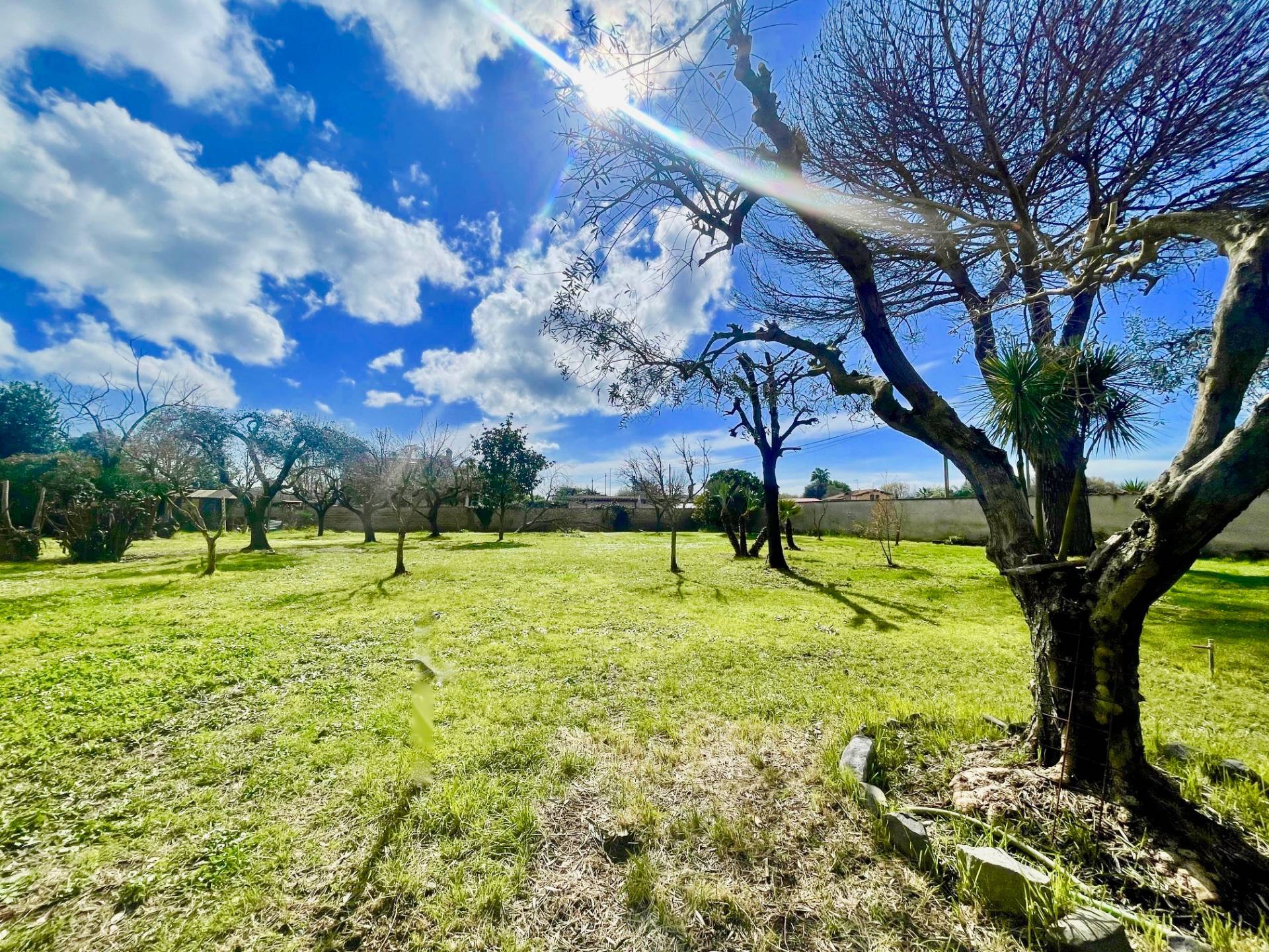 VILLA in vendita a Roma, Infernetto