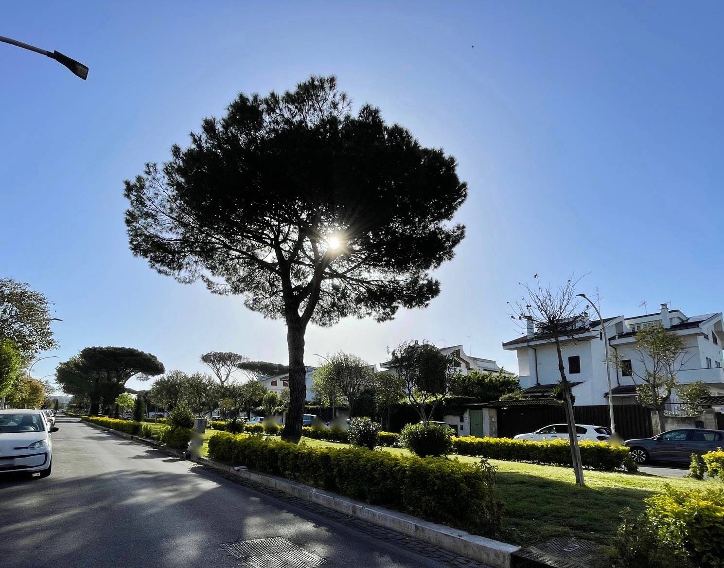 APPARTAMENTO in vendita a Roma, Axa