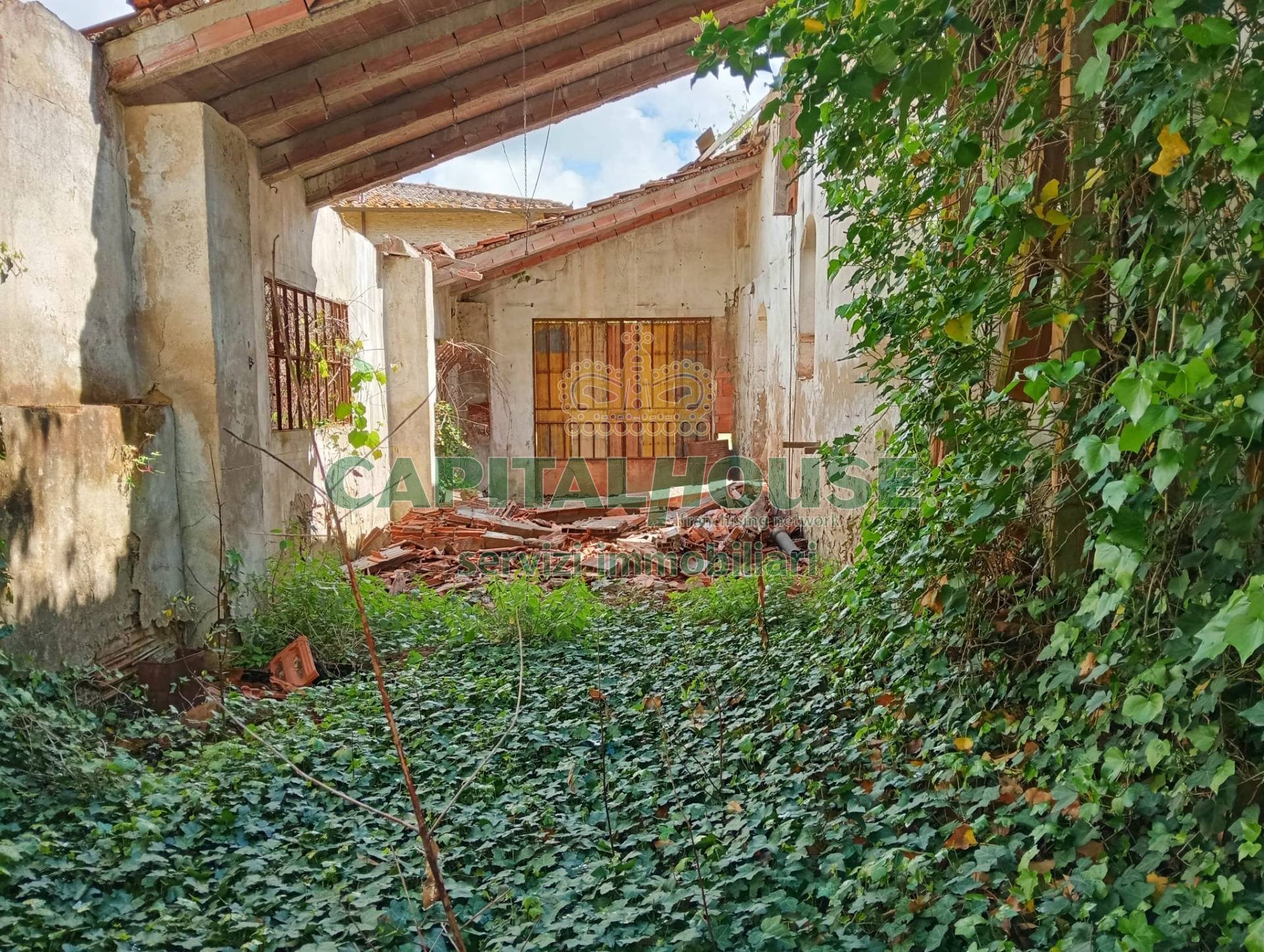 immagine annuncio 5 di 8