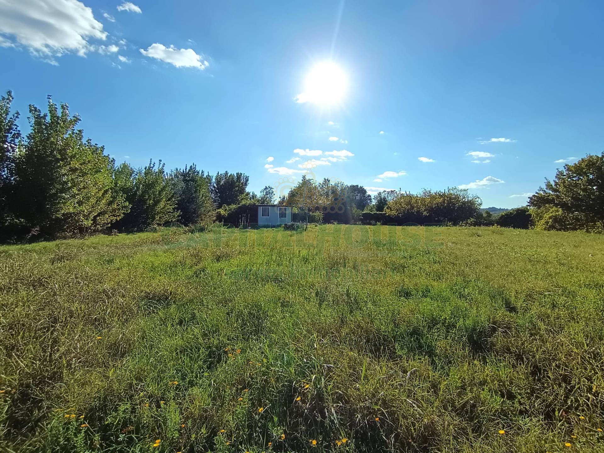 Terreno industriale in vendita a Certaldo
