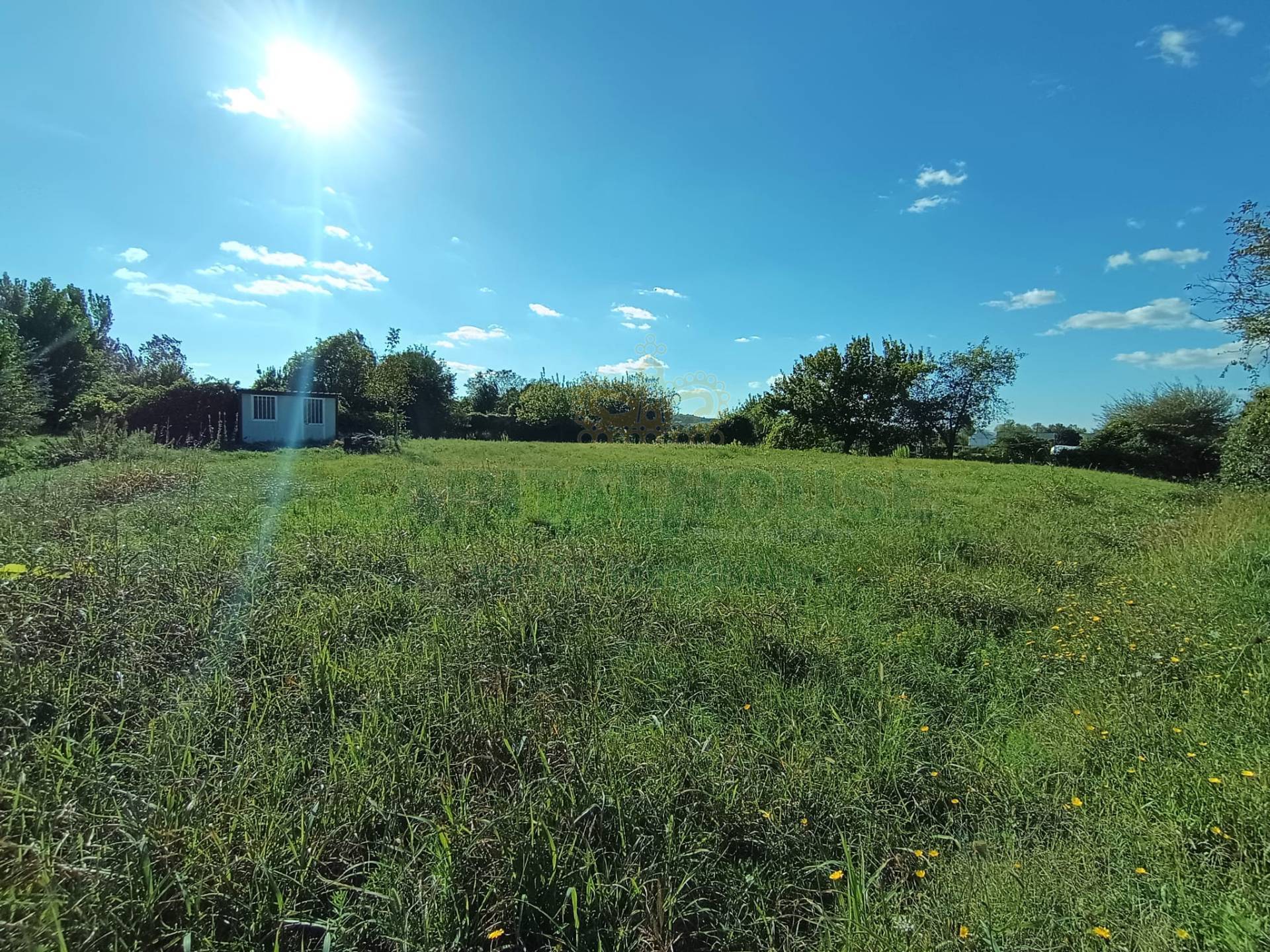 Terreno industriale in vendita a Certaldo