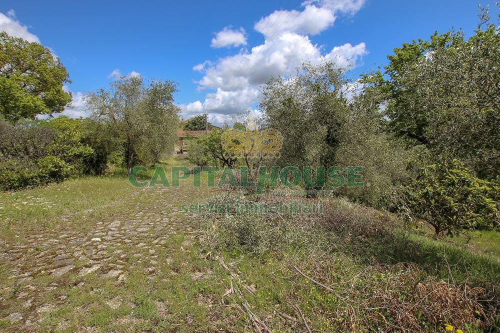 Casa colonica in vendita a Poggibonsi