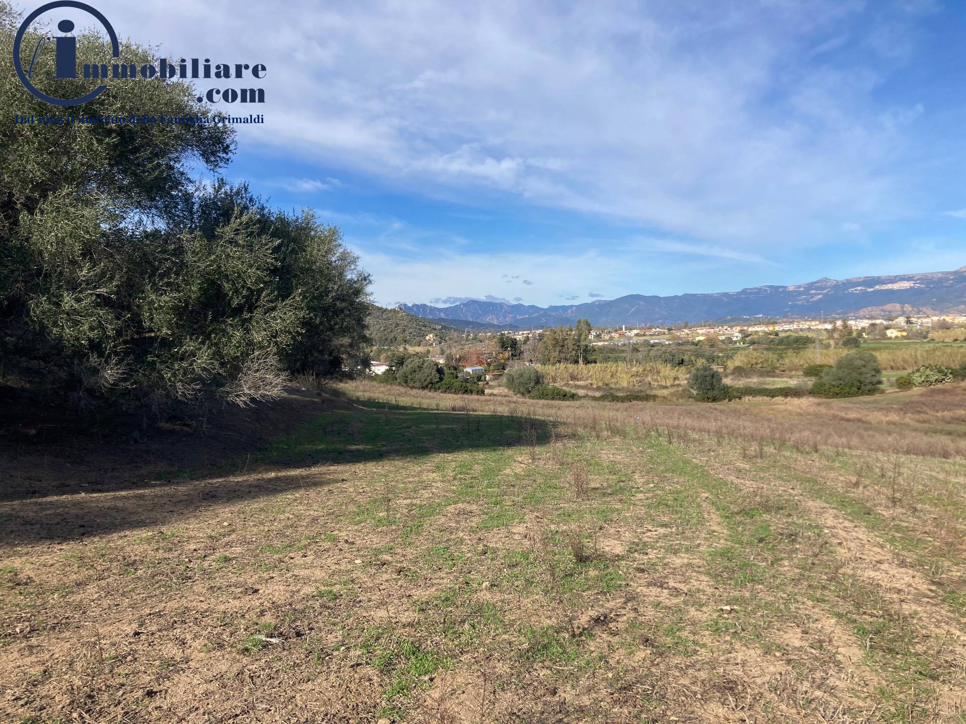 Terreno Agricolo in vendita a Tortol