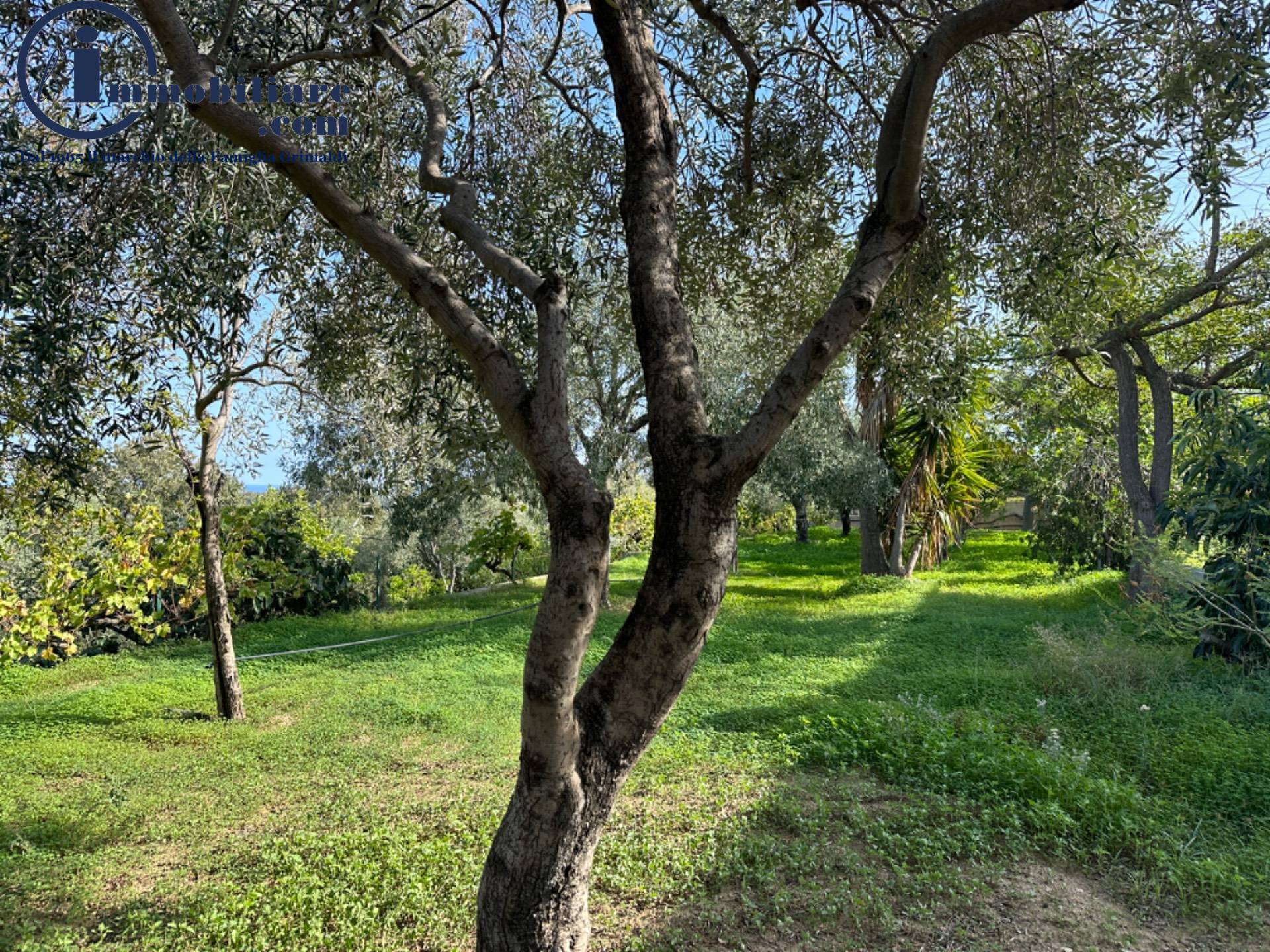 Villa Singola in vendita a Lotzorai