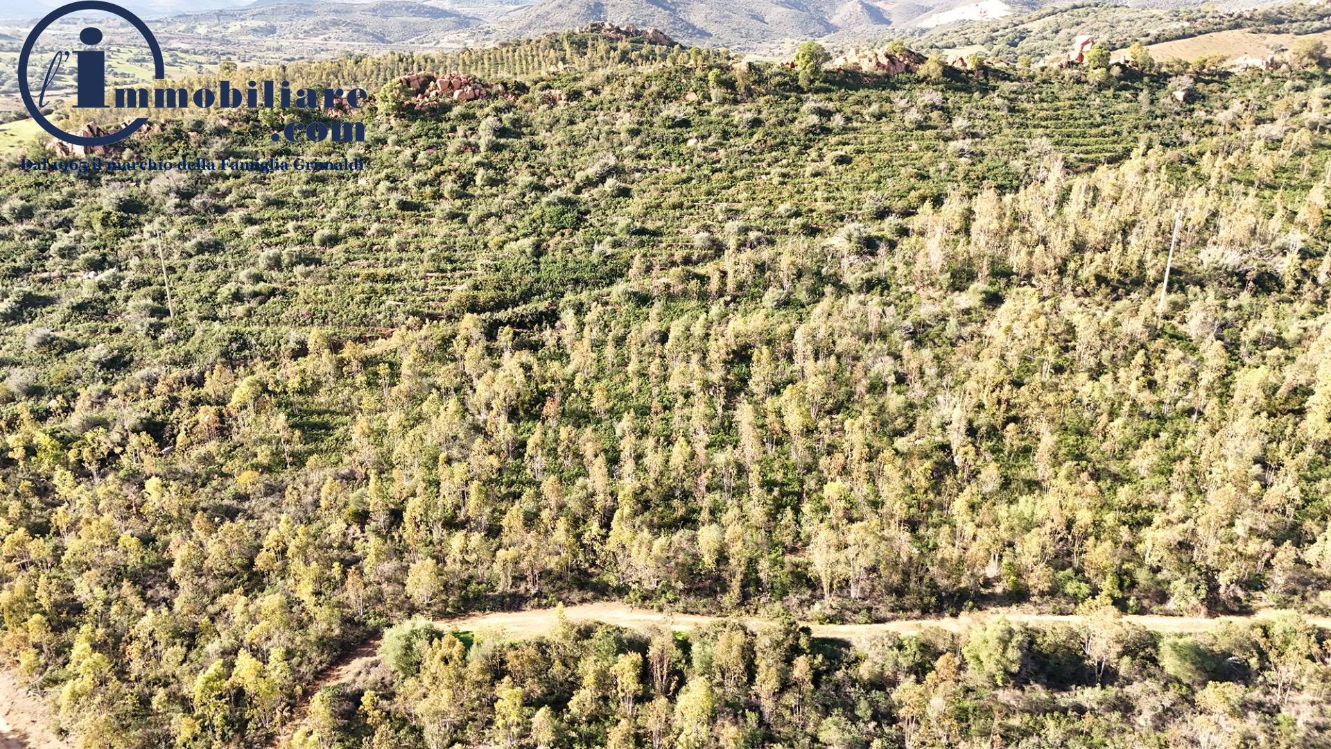 Terreno Agricolo in vendita a Tortol