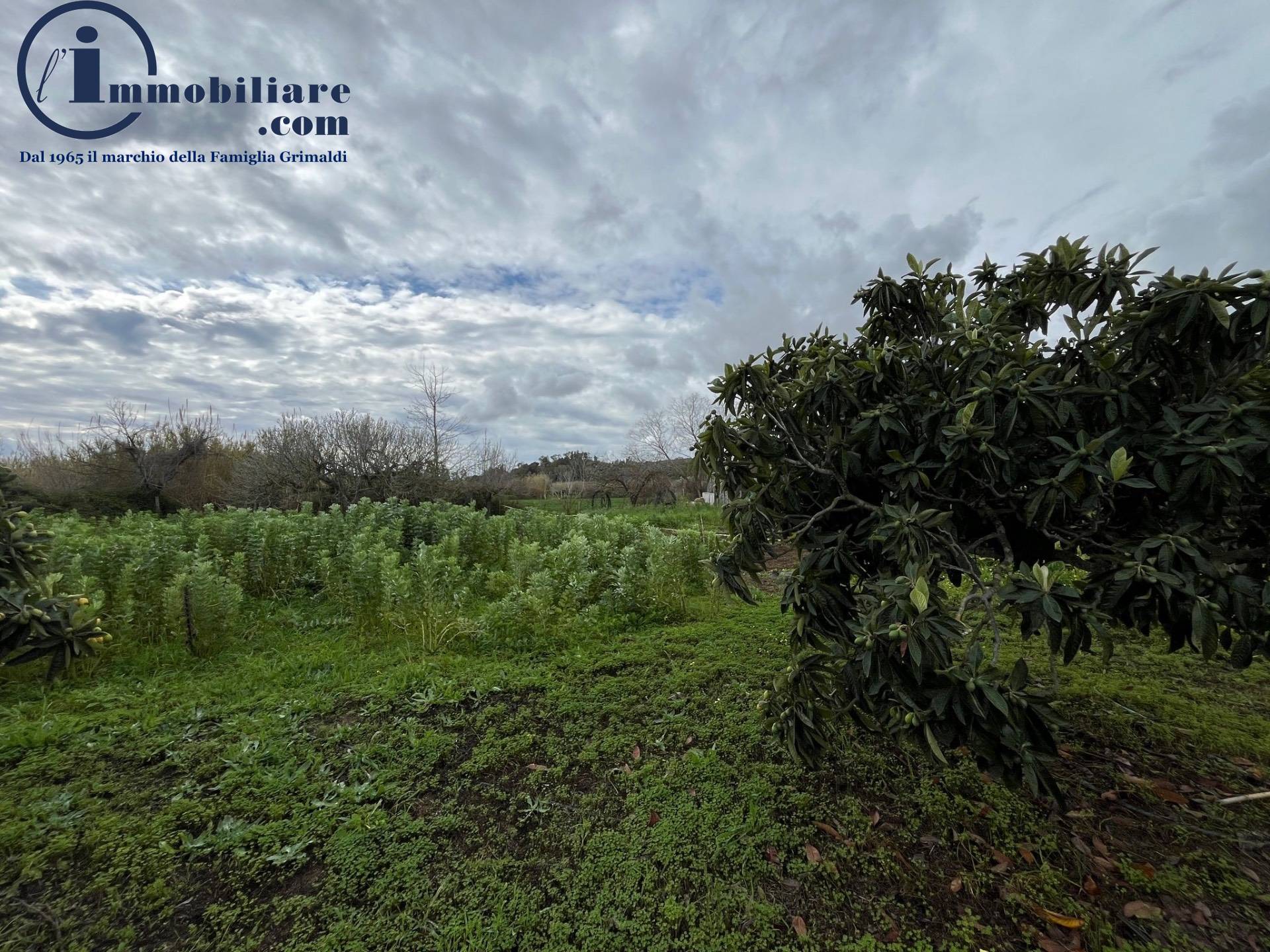 Terreno Agricolo in vendita a Tortol