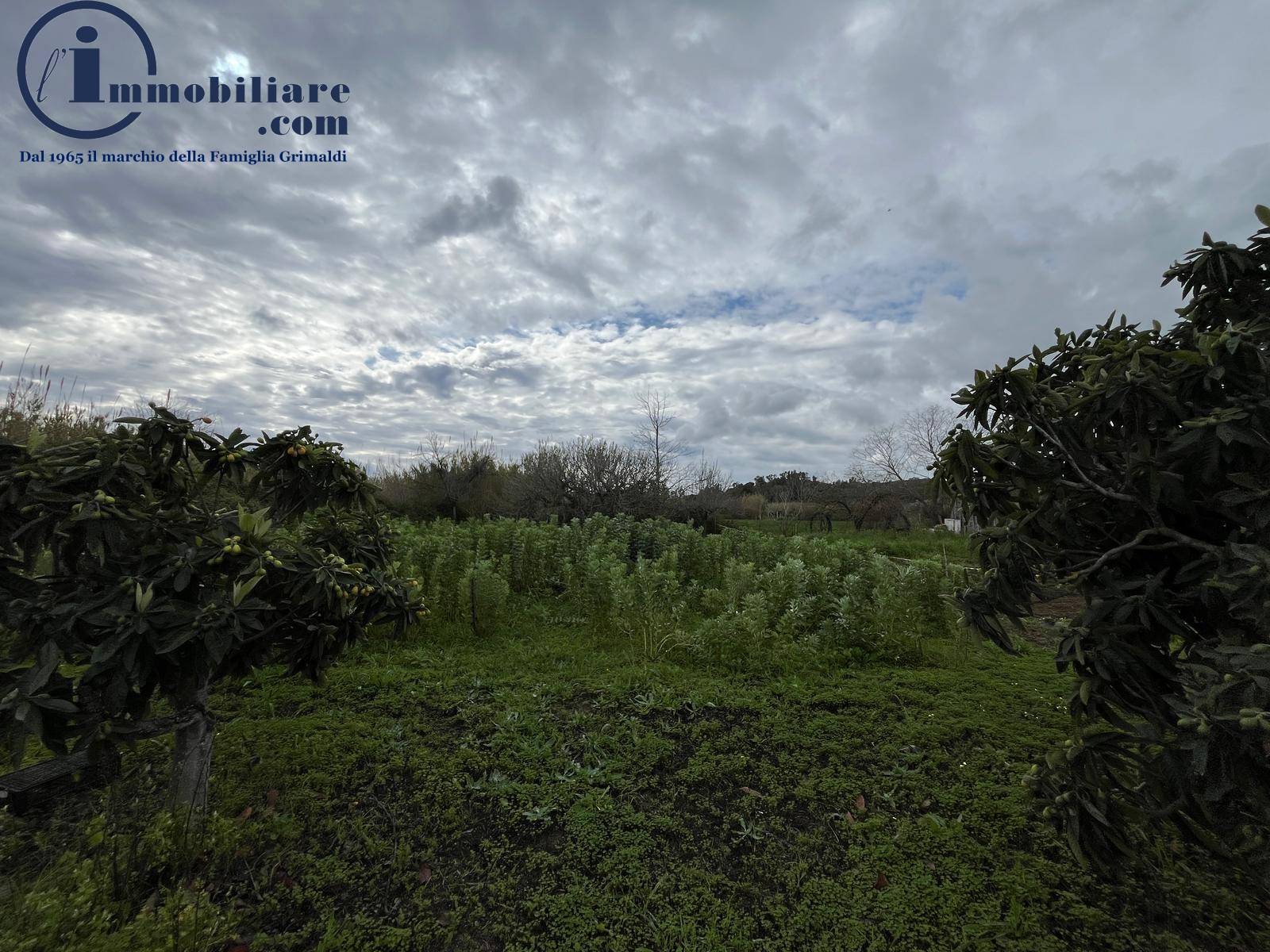 Terreno Agricolo in vendita a Tortol