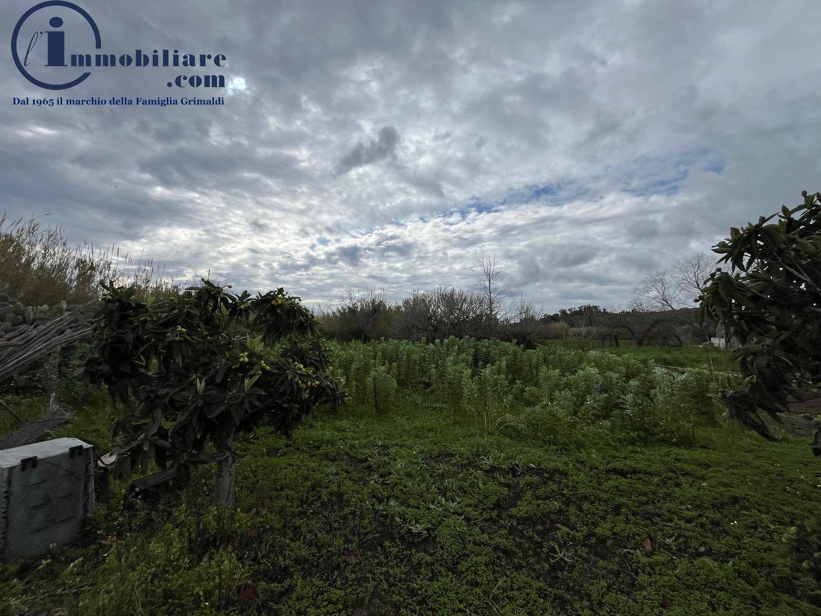 Terreno Agricolo in vendita a Tortol