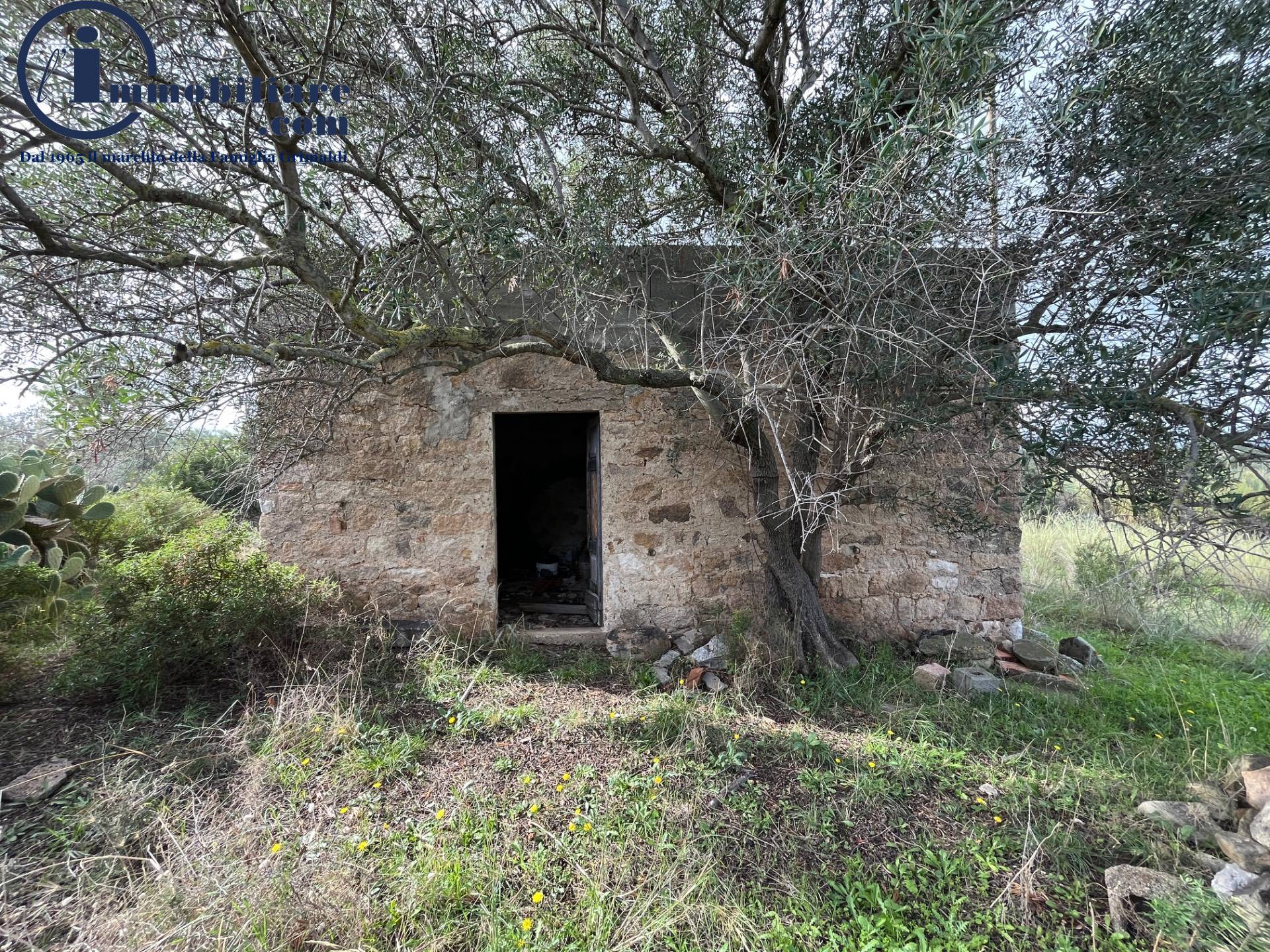 Terreno Agricolo in vendita a Girasole