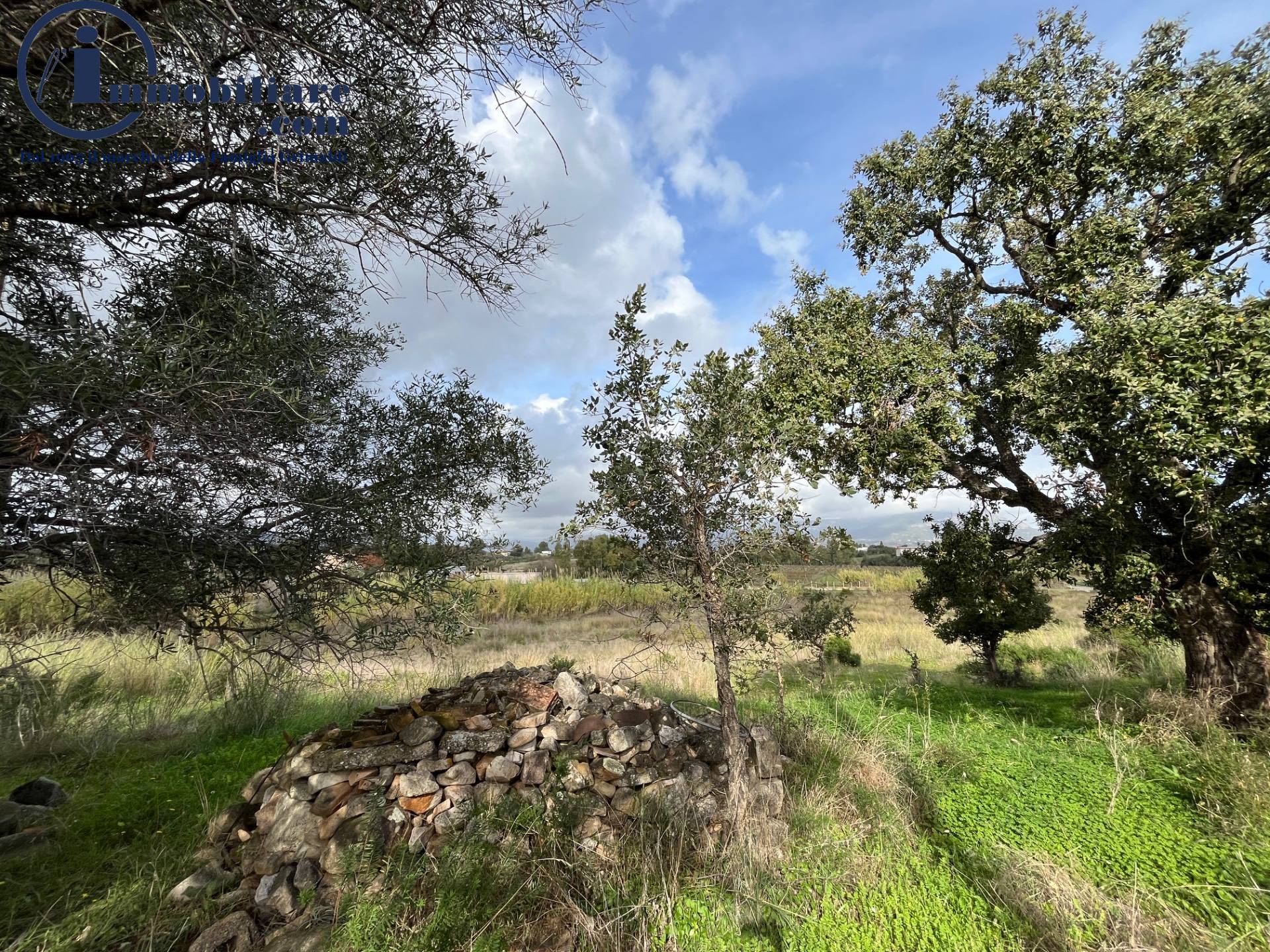 Terreno Agricolo in vendita a Girasole