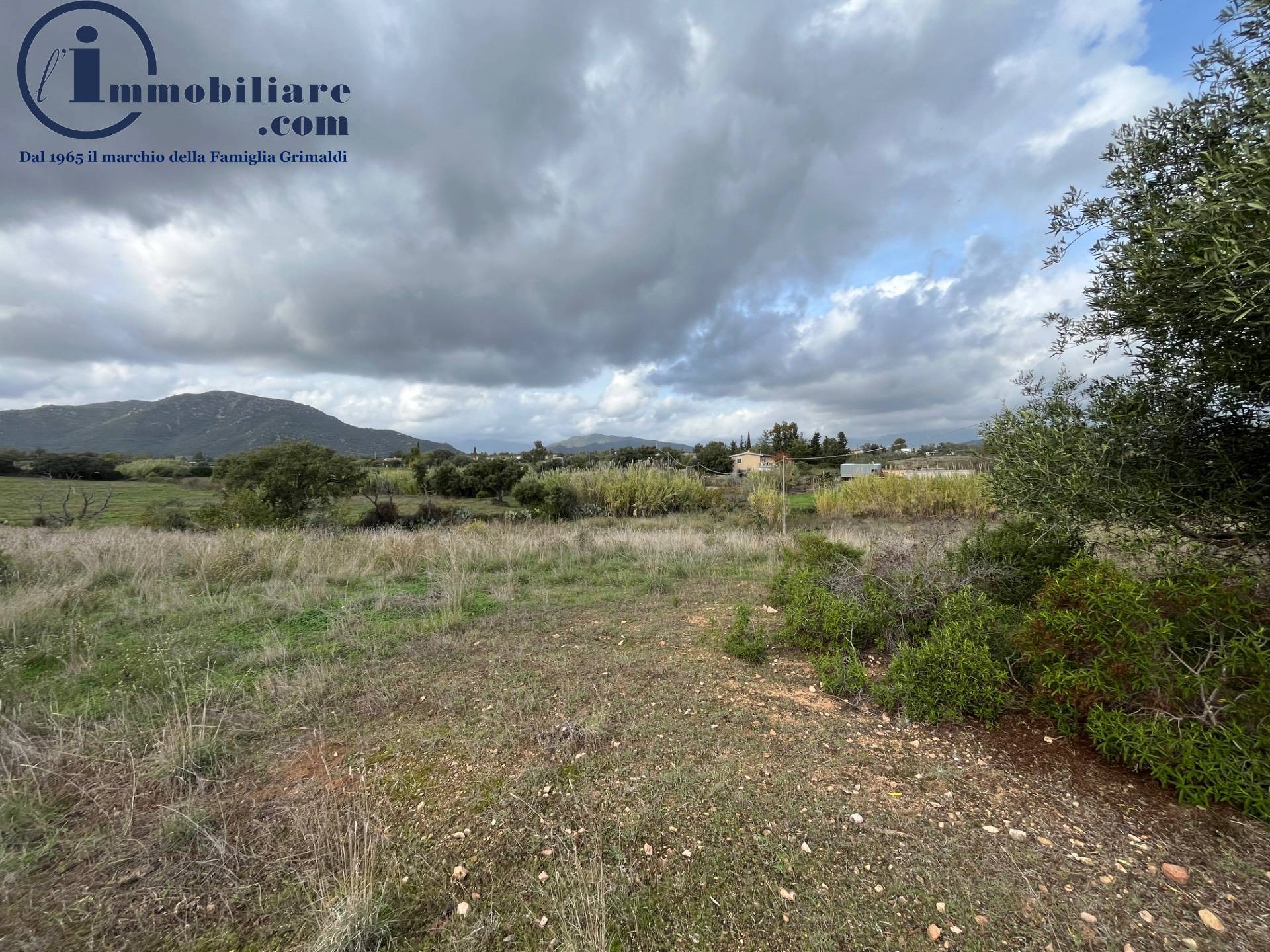 Terreno Agricolo in vendita a Girasole