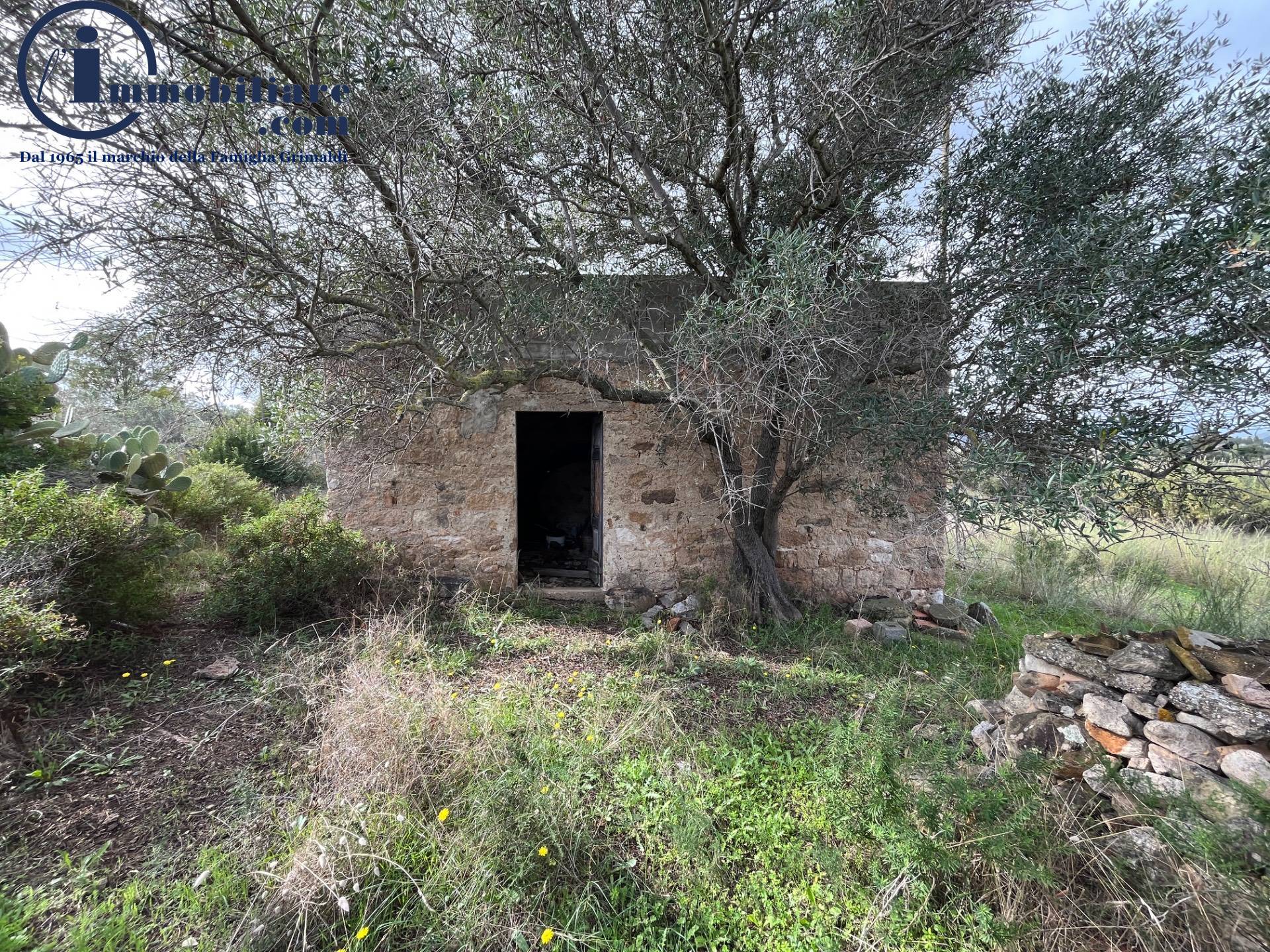 Terreno Agricolo in vendita a Girasole