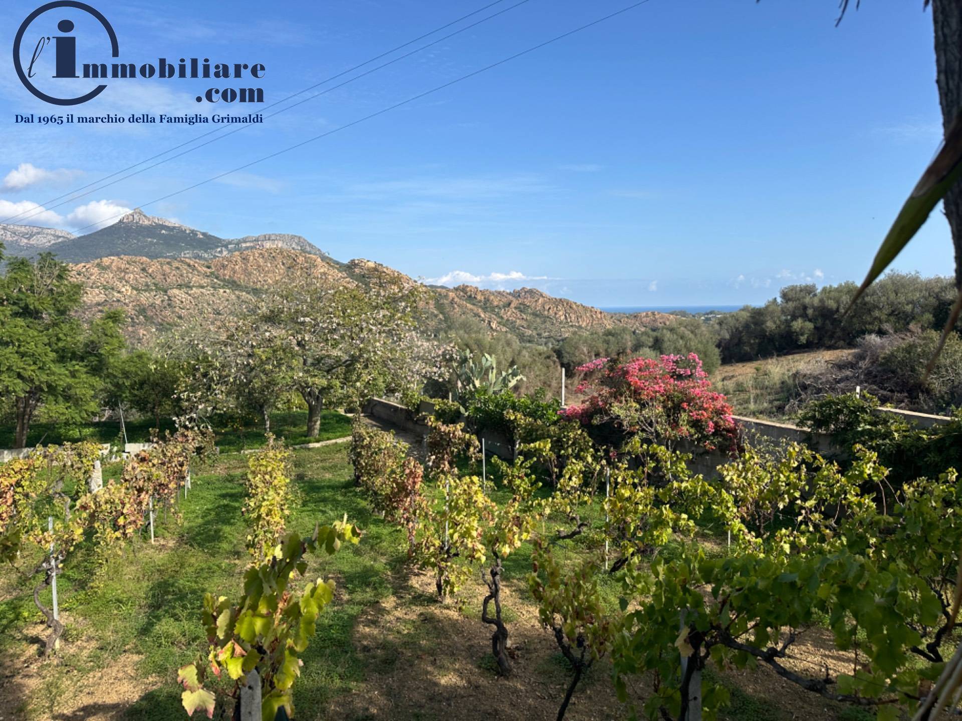 Villa Singola in vendita a Lotzorai