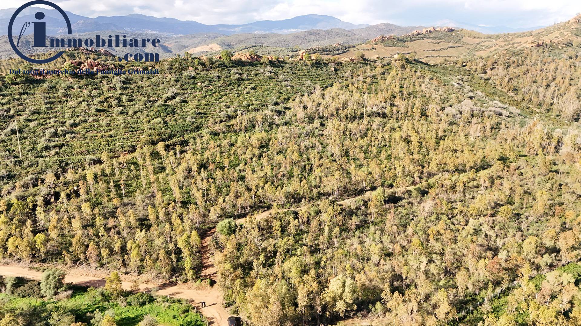 Terreno Agricolo in vendita a Tortol