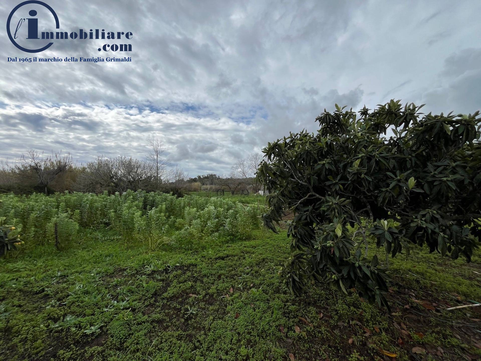 Terreno Agricolo in vendita a Tortol