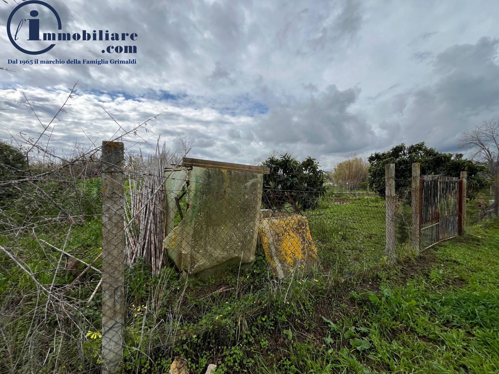 immagine annuncio 7 di 10