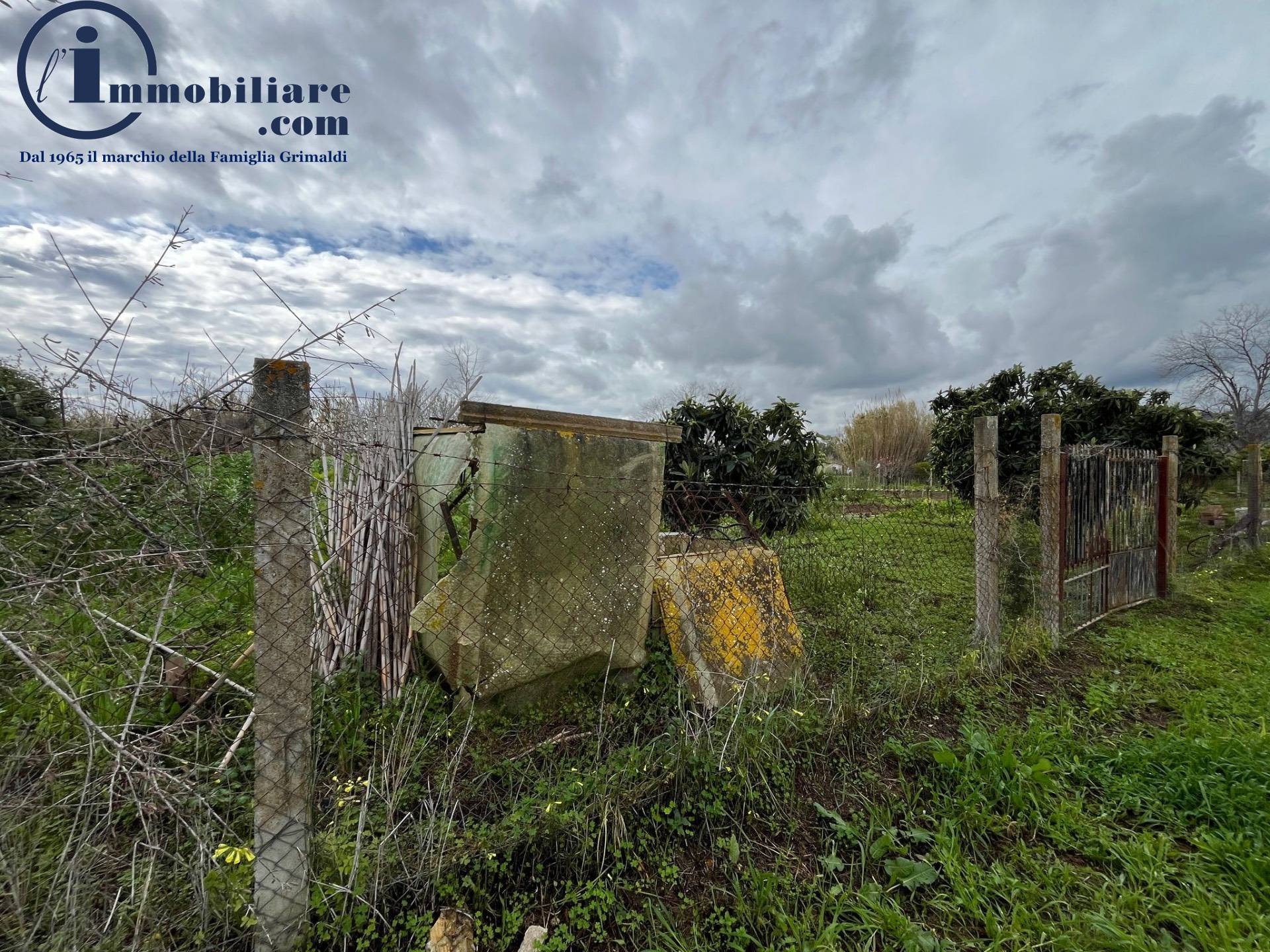 immagine annuncio 8 di 10