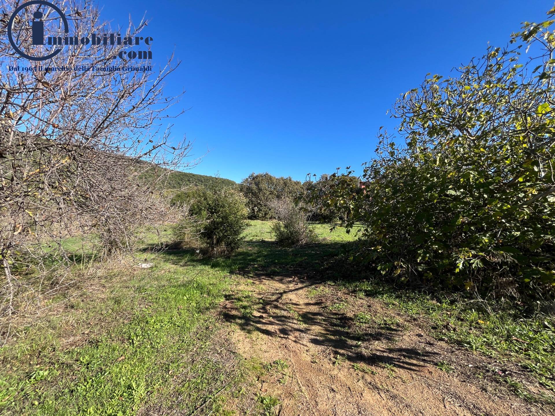 Terreno edificabile in vendita a Bari Sardo