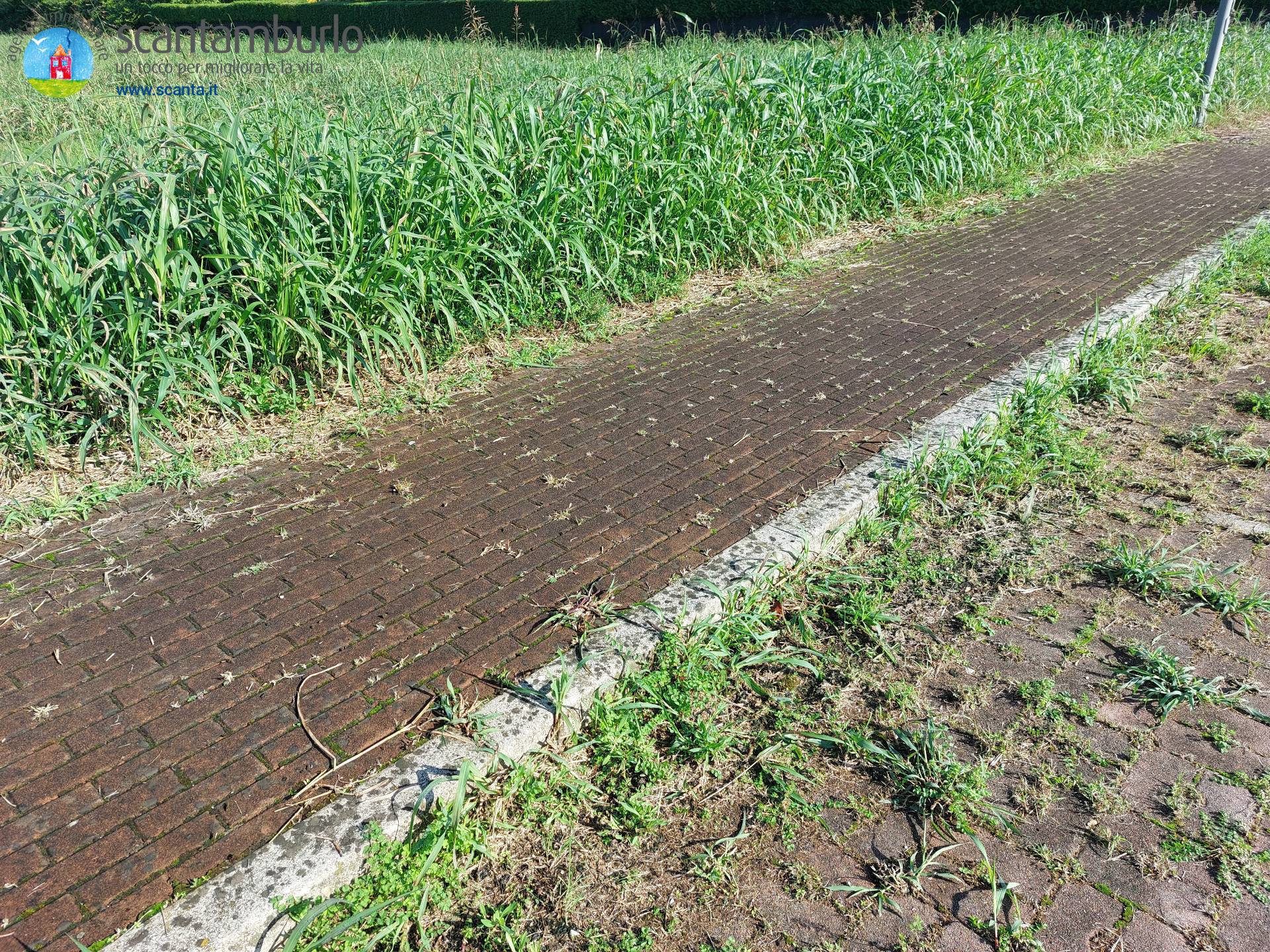Terreno edificabile residenziale in vendita a Ponzano Veneto, Paderno (capoluogo)