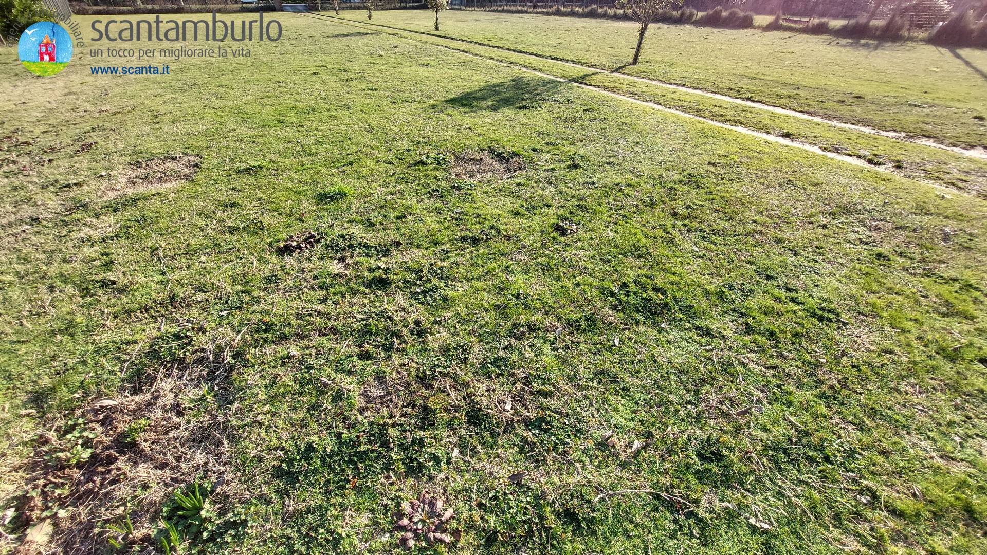 Terreno edificabile residenziale-artigianale in vendita a Cavallino-Treporti