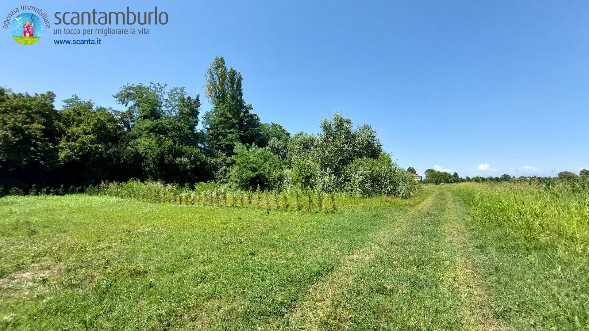 Terreno edificabile residenziale in vendita a Mogliano Veneto