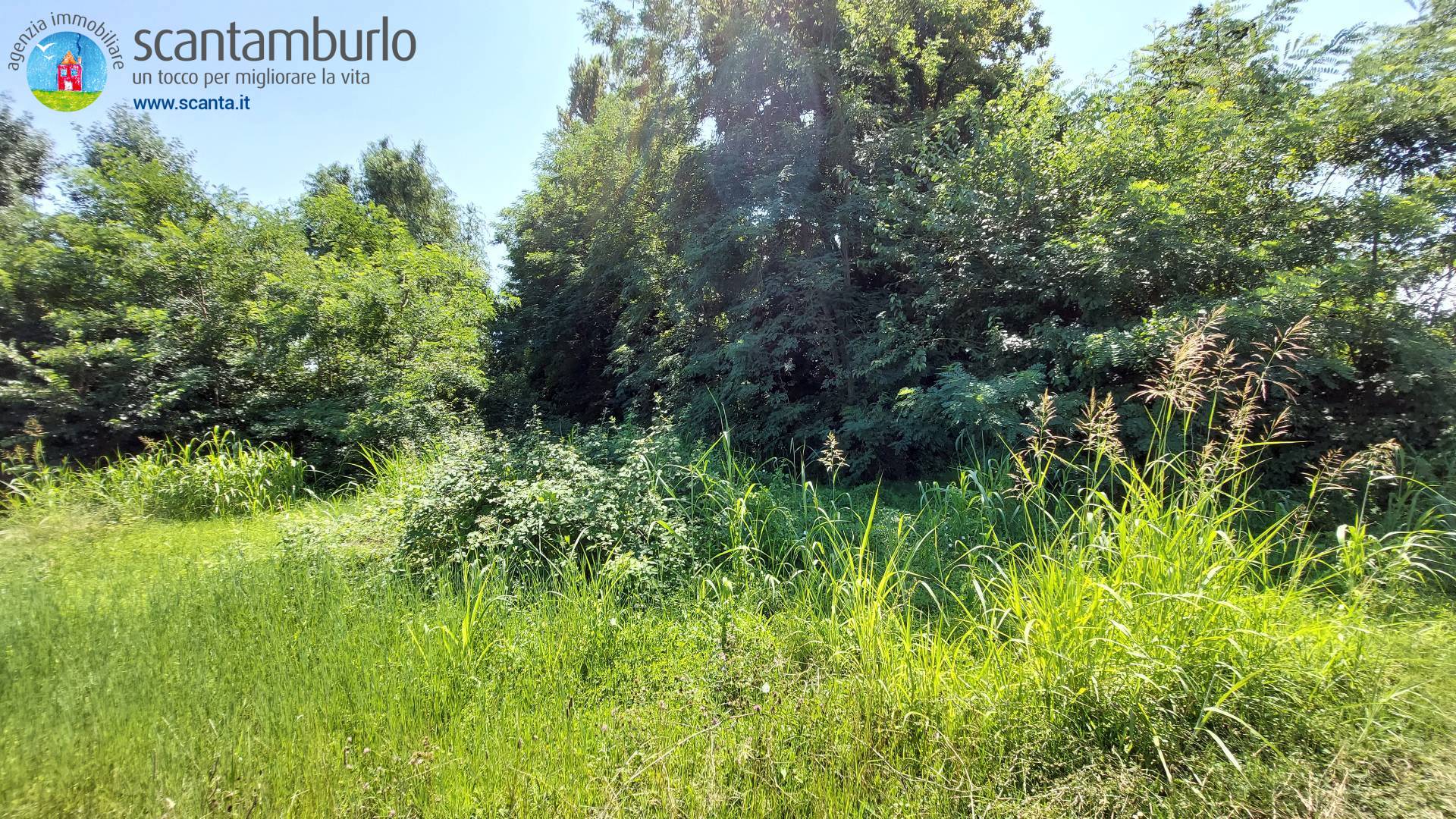 Terreno edificabile residenziale in vendita a Mogliano Veneto