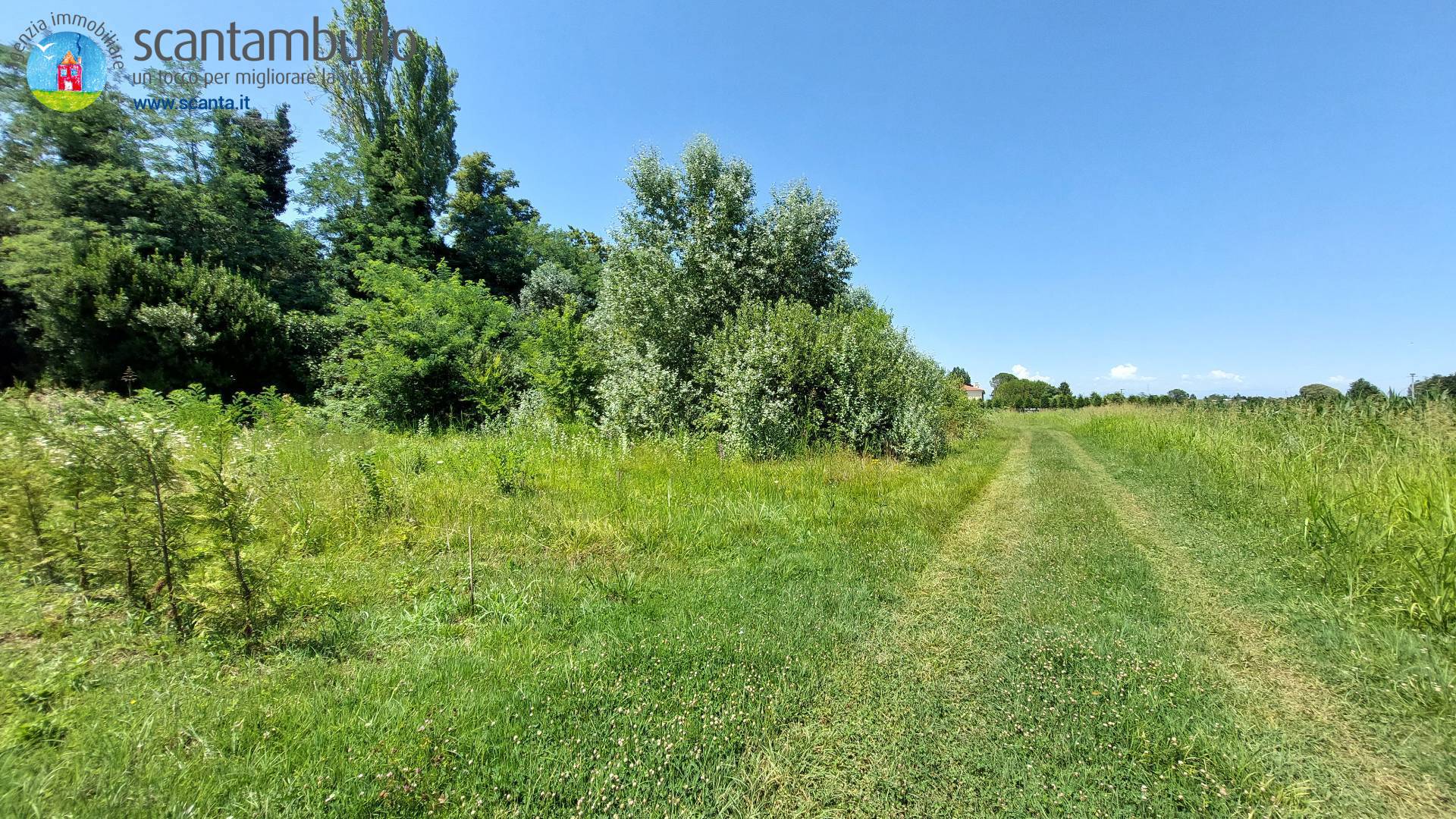 Terreno edificabile residenziale in vendita a Mogliano Veneto