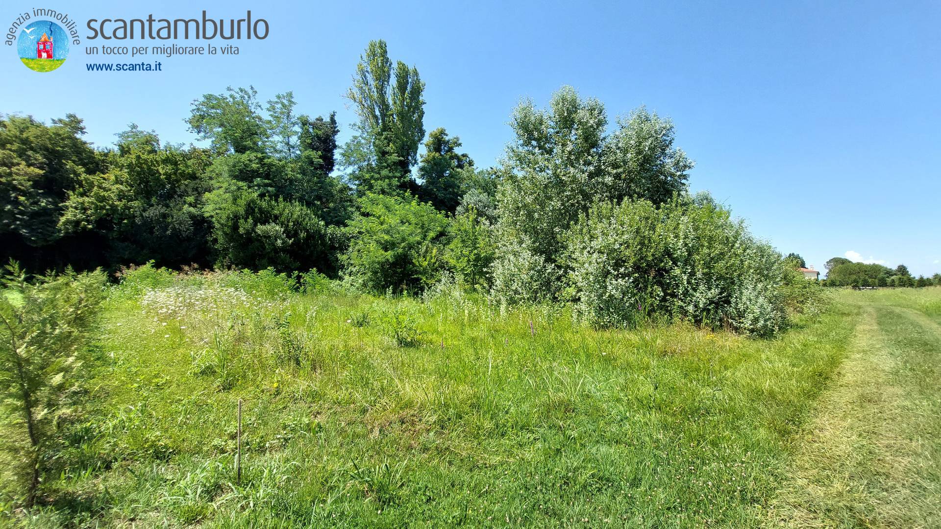 Terreno edificabile residenziale in vendita a Mogliano Veneto