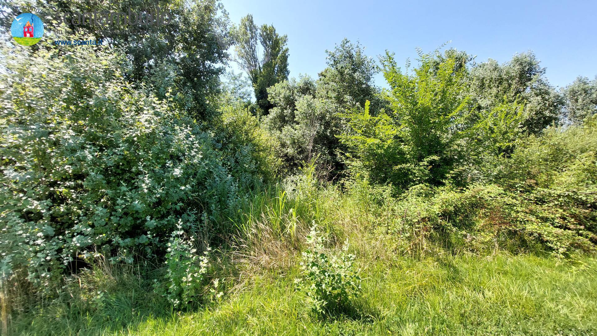 Terreno edificabile residenziale in vendita a Mogliano Veneto