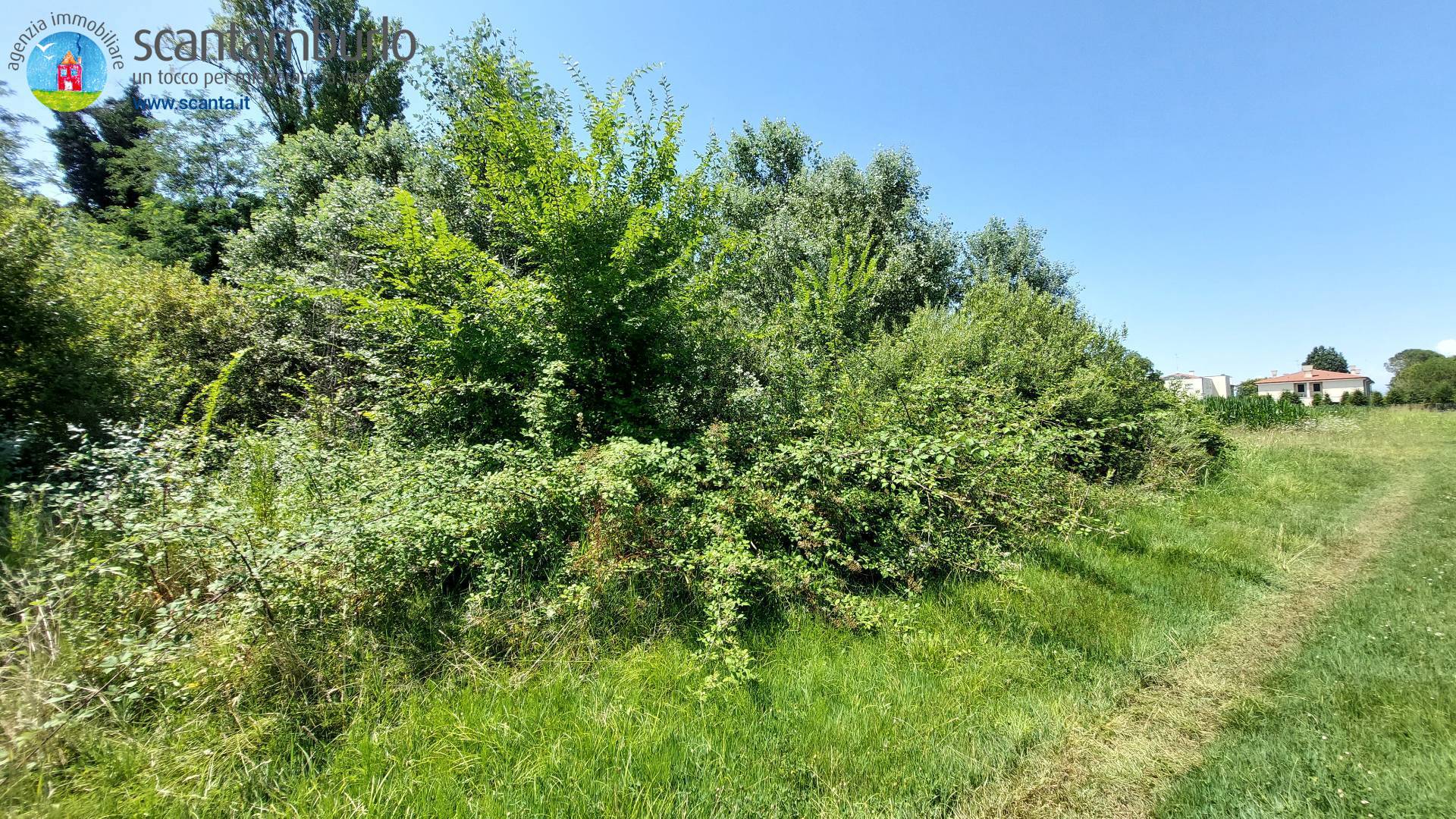 Terreno edificabile residenziale in vendita a Mogliano Veneto
