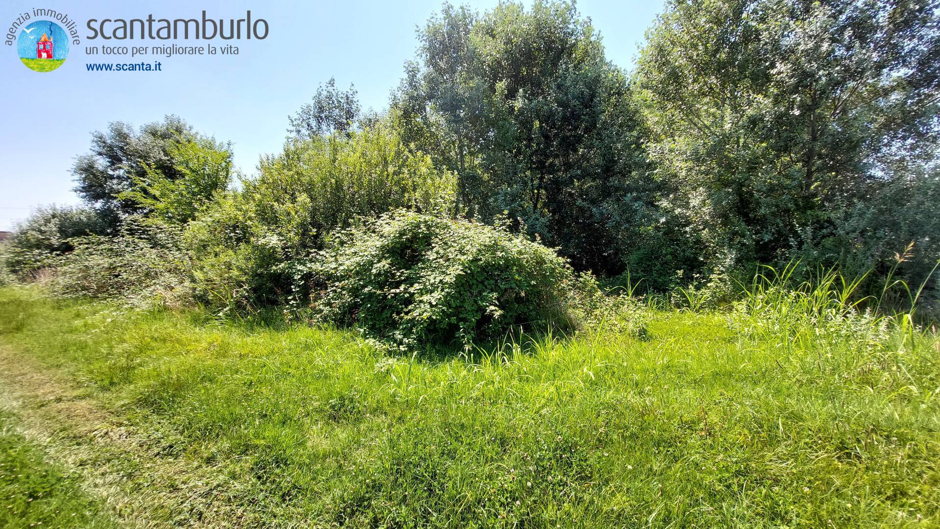Terreno edificabile residenziale in vendita a Mogliano Veneto