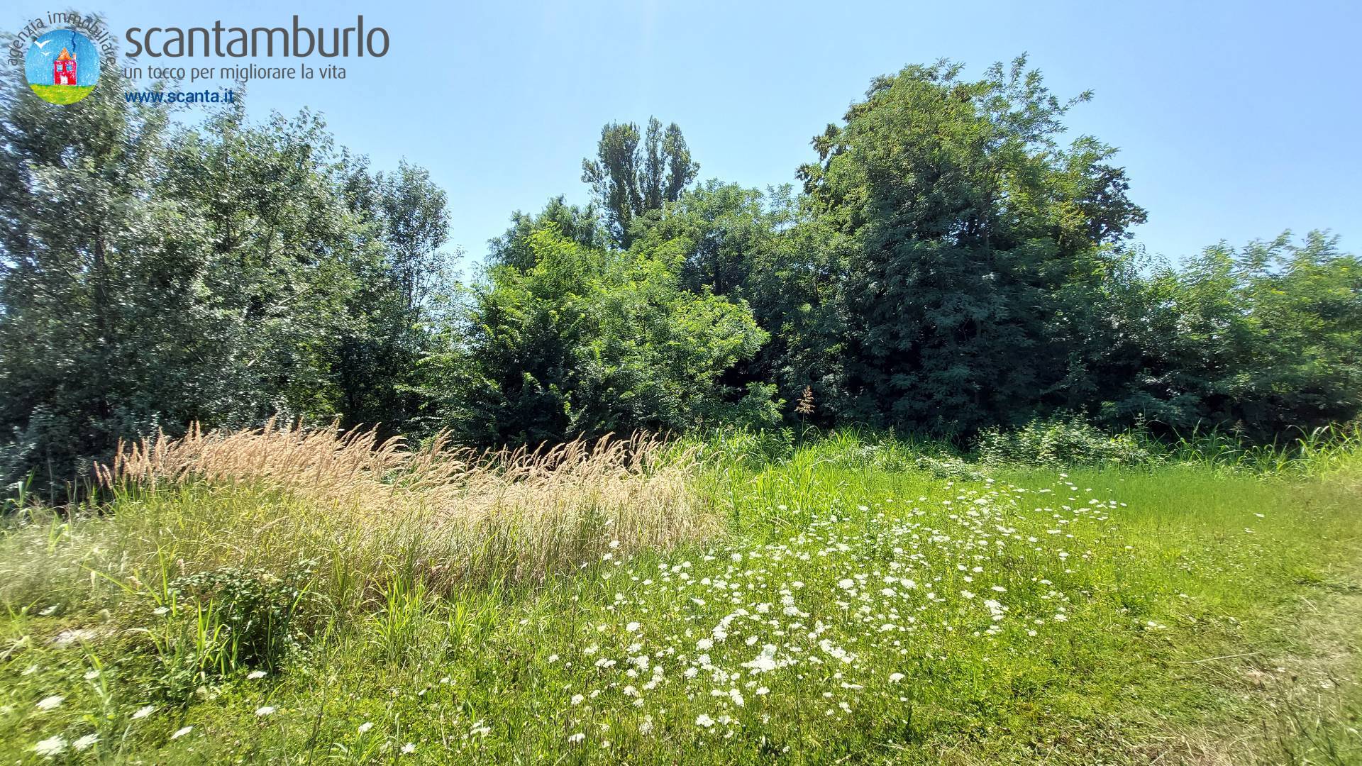 Terreno edificabile residenziale in vendita a Mogliano Veneto