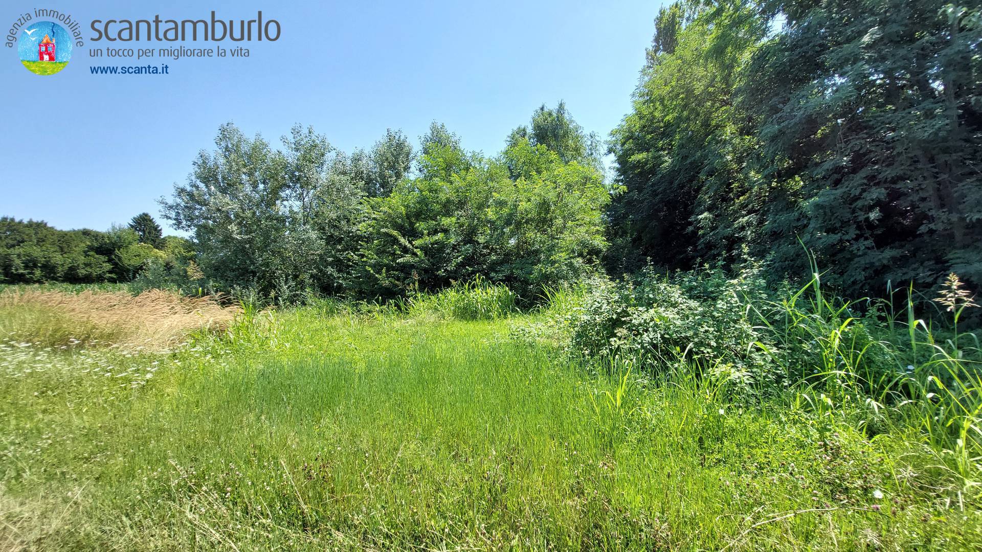 Terreno edificabile residenziale in vendita a Mogliano Veneto
