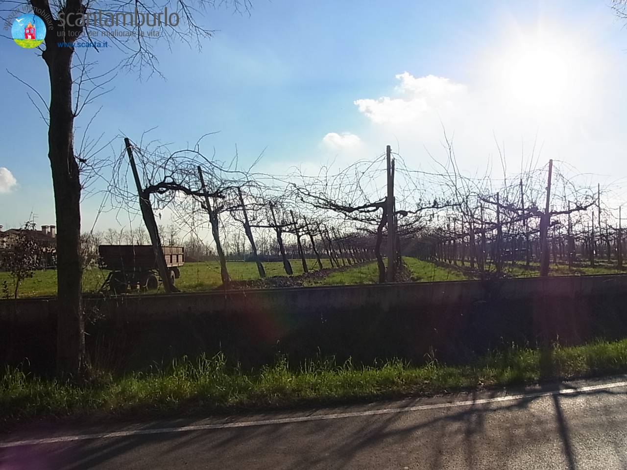 Terreno edificabile residenziale in vendita a Povegliano