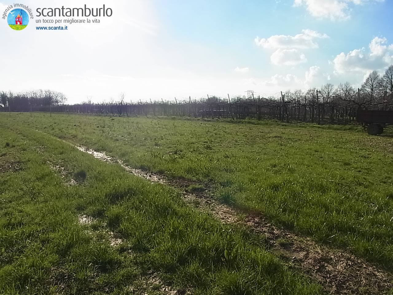 Terreno edificabile residenziale in vendita a Povegliano