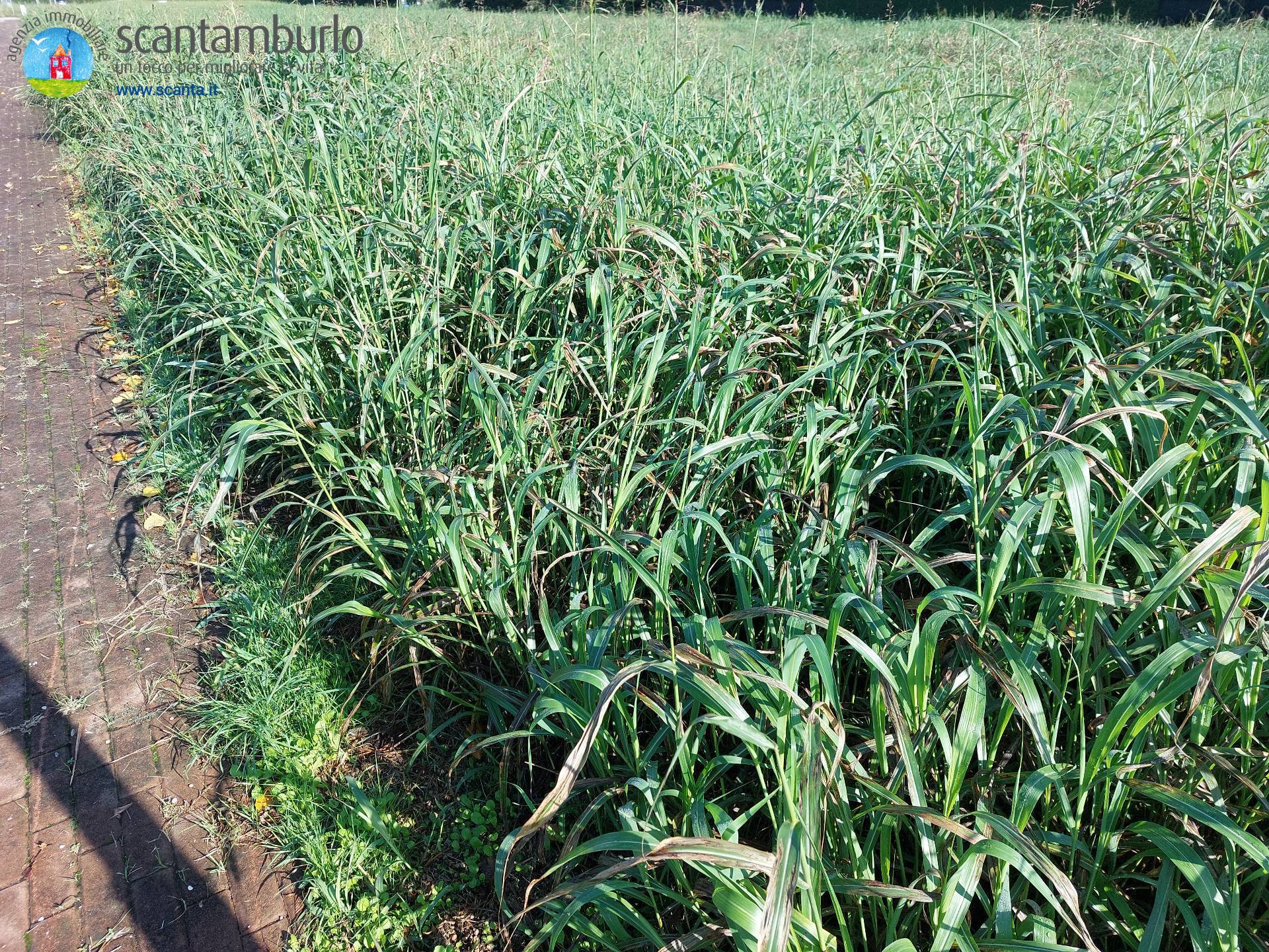 Terreno edificabile residenziale in vendita a Ponzano Veneto, Paderno (capoluogo)