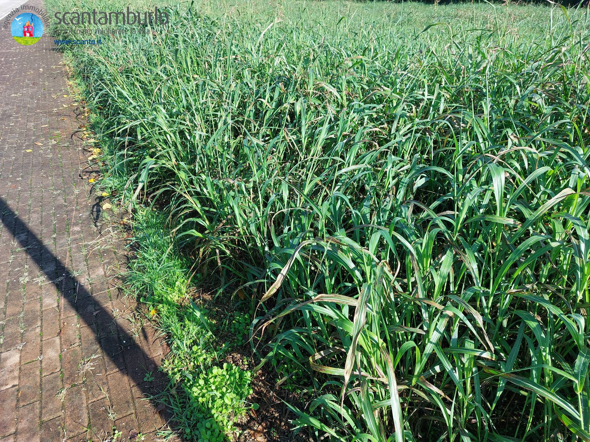 Terreno edificabile residenziale in vendita a Ponzano Veneto, Paderno (capoluogo)